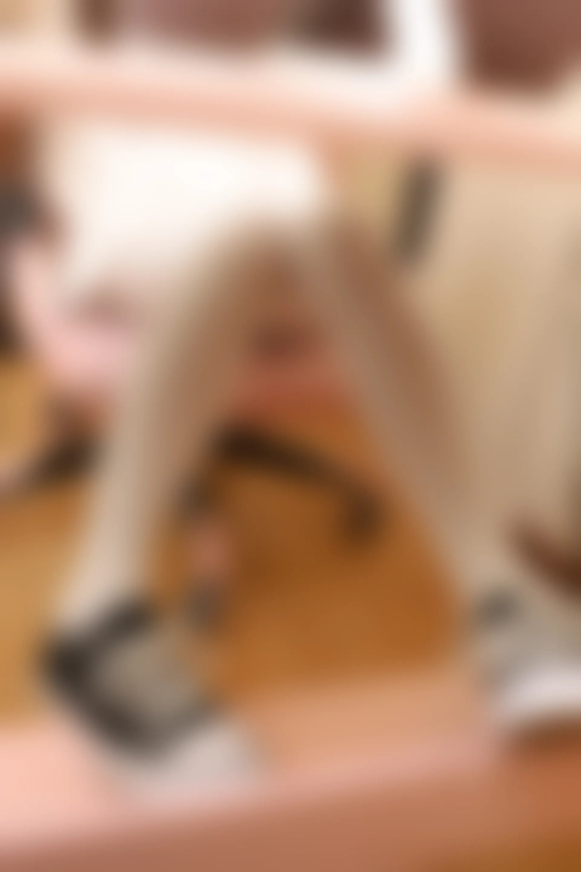 少女秩序 EX.09 诚信肥宅白丝双马尾[69P1V-1.85G]双马尾, 少女秩序, 白丝, 美腿, 美足, 鹿可