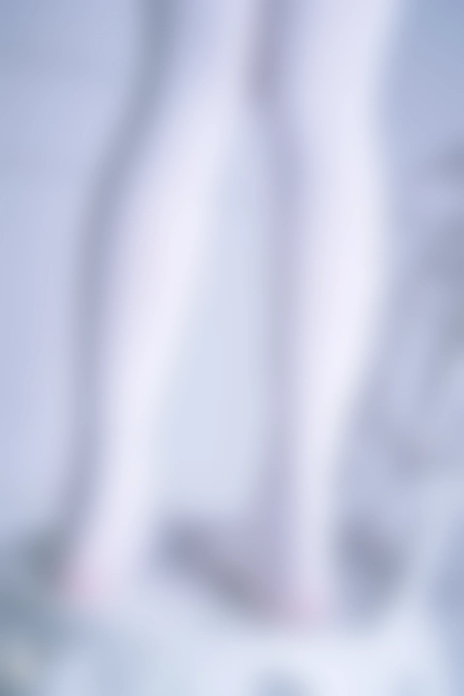 C00.004 红裙与白丝 [44P-996MB]