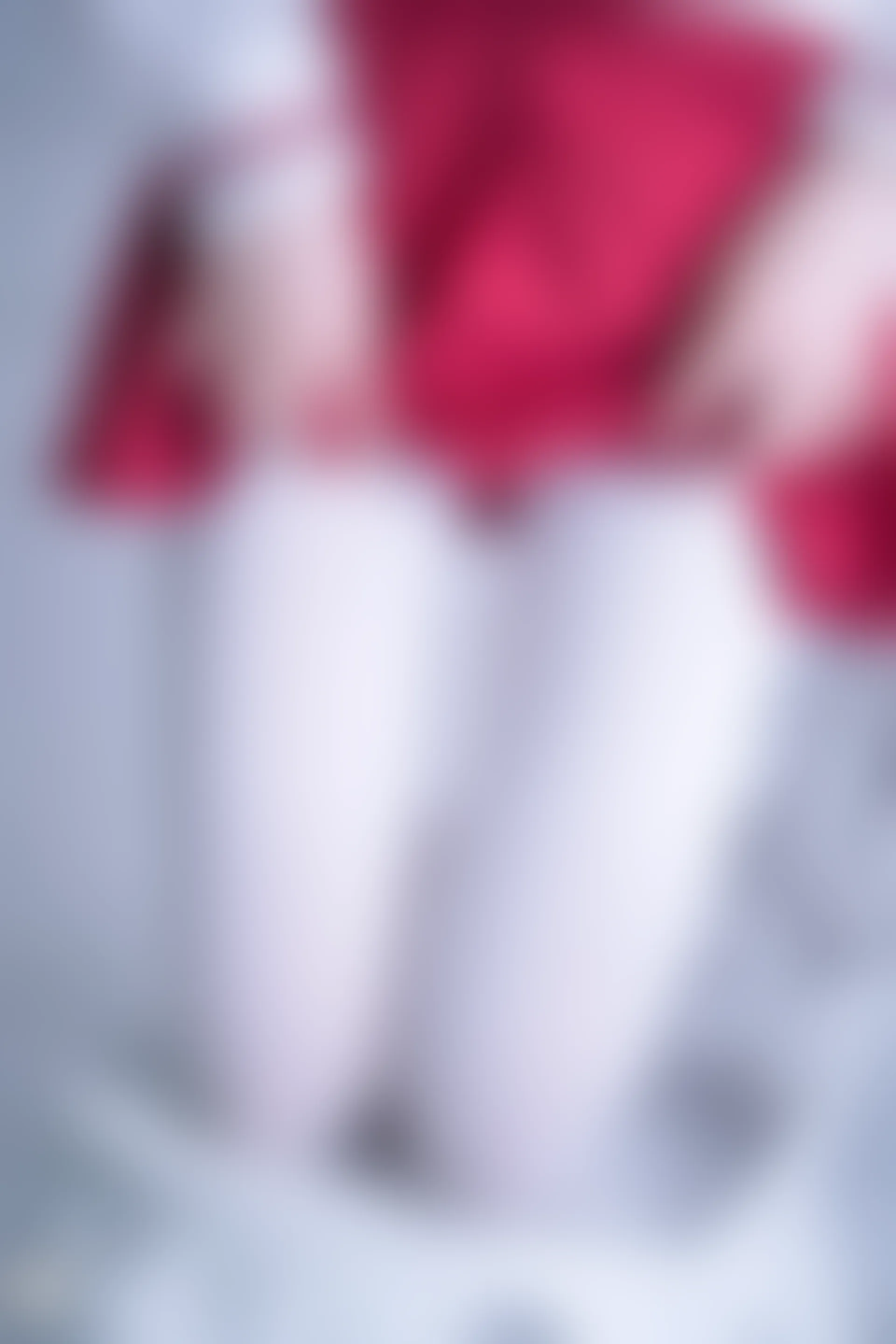 C00.004 红裙与白丝 [44P-996MB]