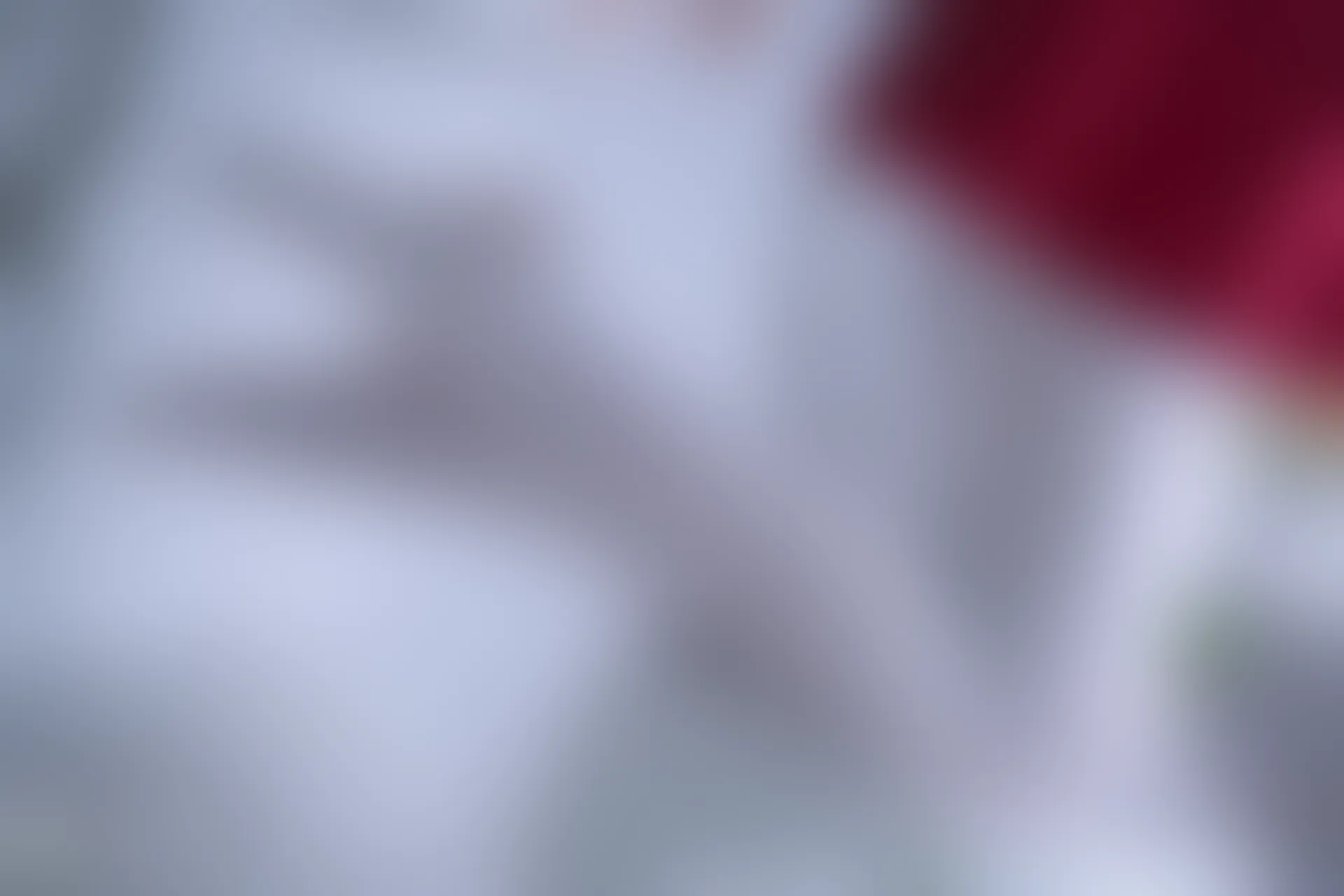 C00.004 红裙与白丝 [44P-996MB]