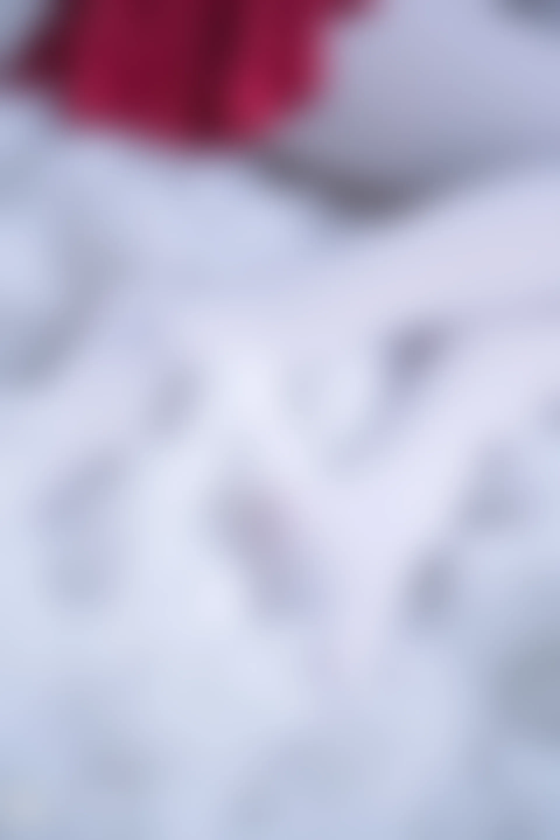 C00.004 红裙与白丝 [44P-996MB]