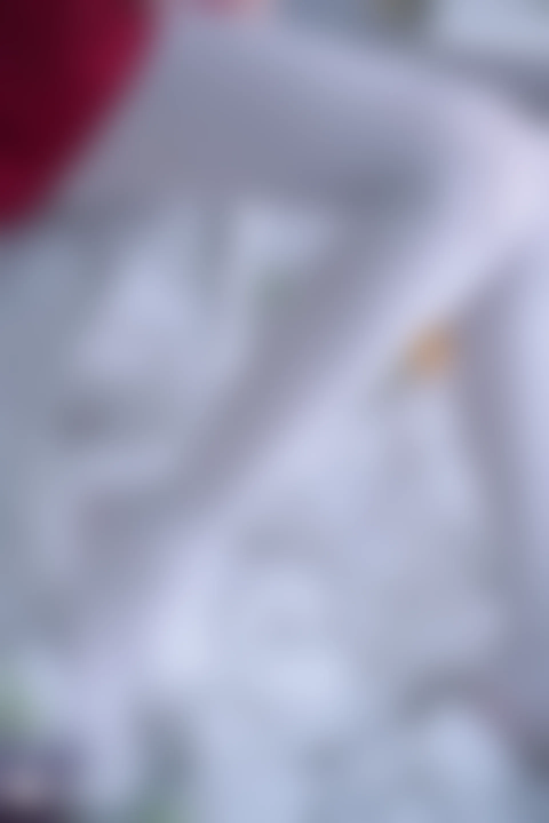 C00.004 红裙与白丝 [44P-996MB]