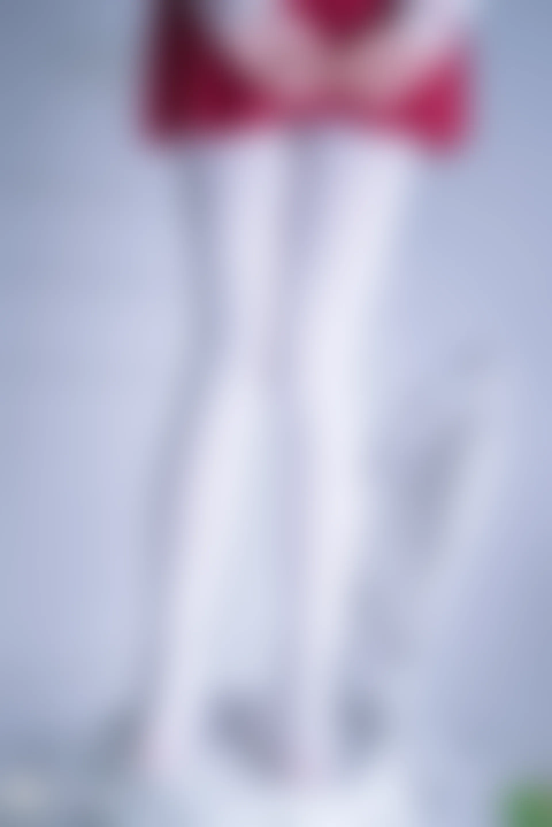 C00.004 红裙与白丝 [44P-996MB]