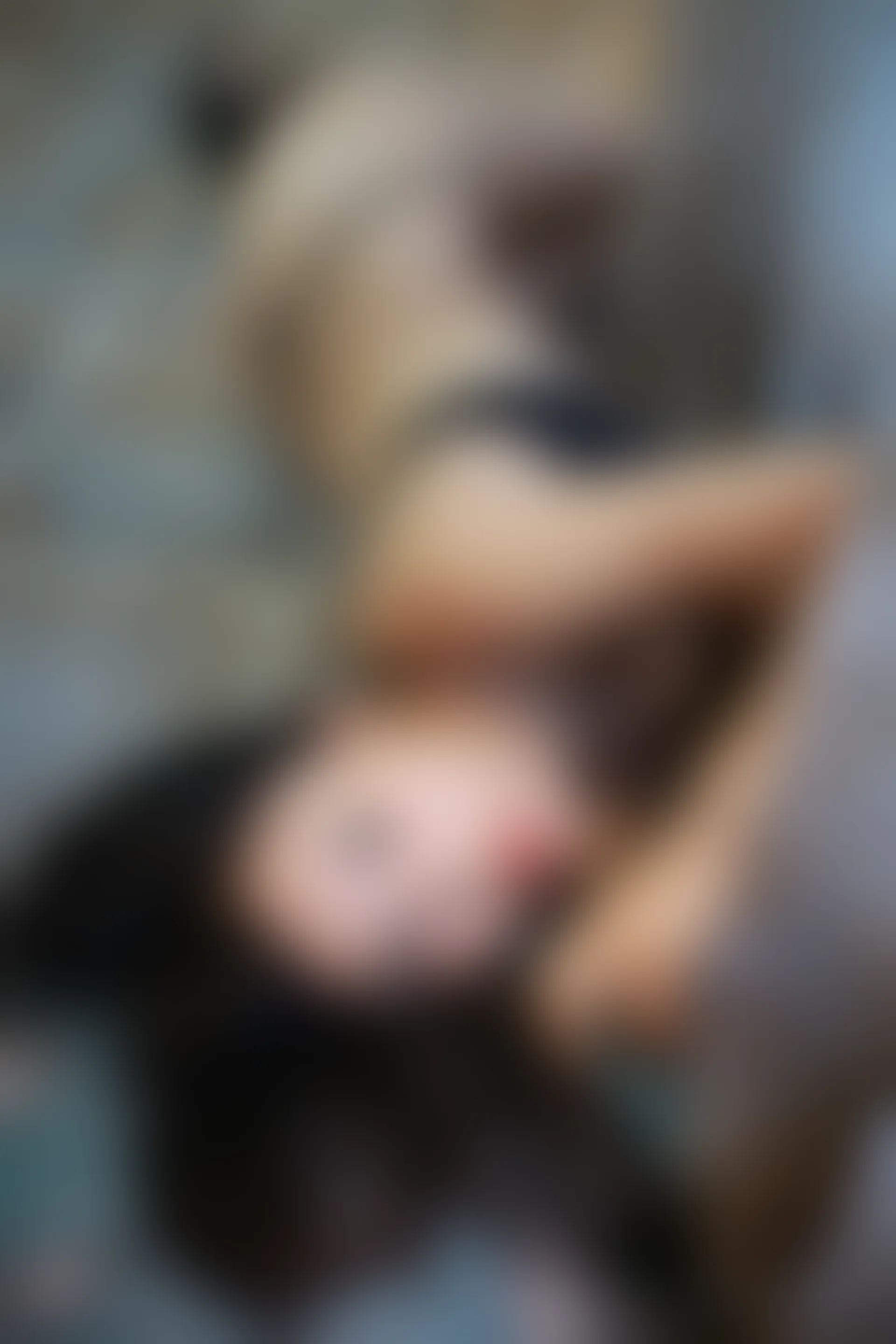 XiuRen秀人网 2013.09.10 No.007 易欣viya