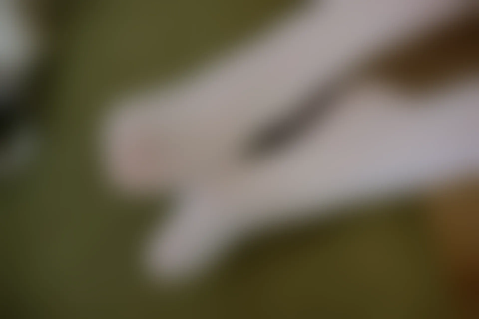 森萝财团 R15-021 [71P-392M]学生装, 森萝财团, 白丝, 美腿