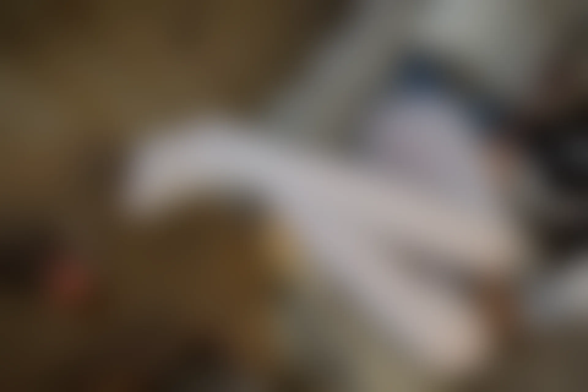 森萝财团 R15-021 [71P-392M]学生装, 森萝财团, 白丝, 美腿