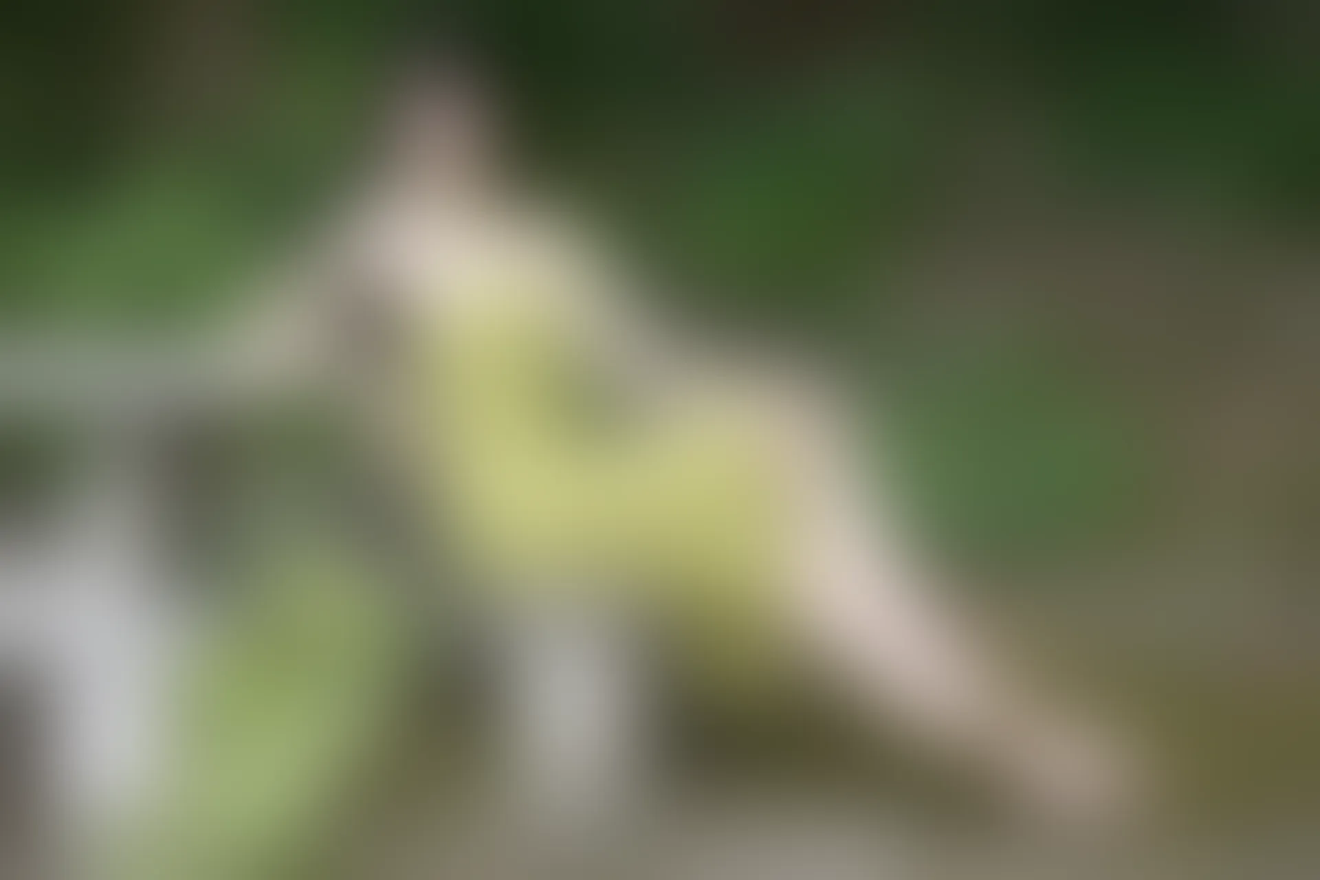 XIUREN秀人网 2023.08.16 NO.7241 程程程-[83+1P／764MB]