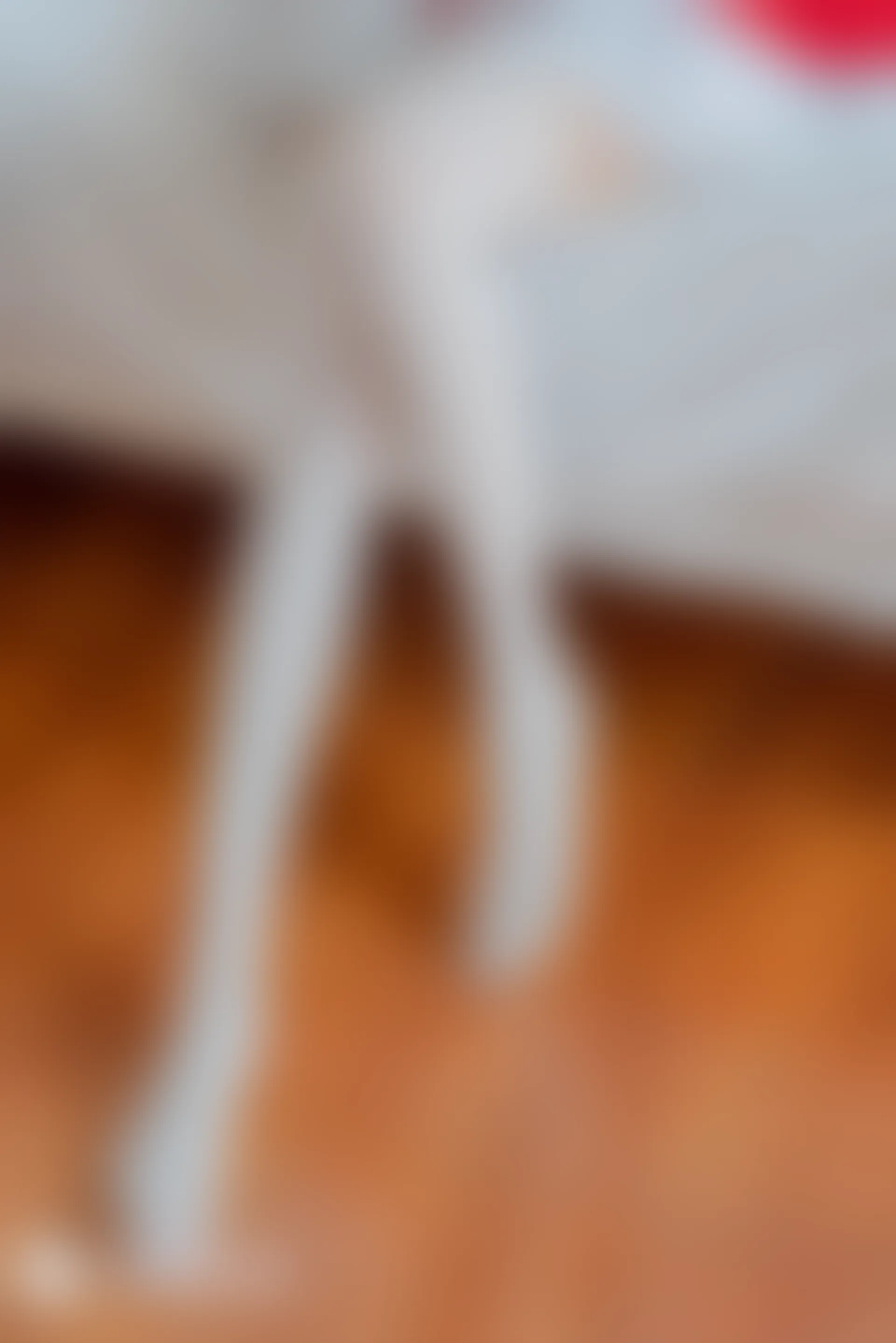 SD.004 圣诞萌女郎 [46P-341MB]