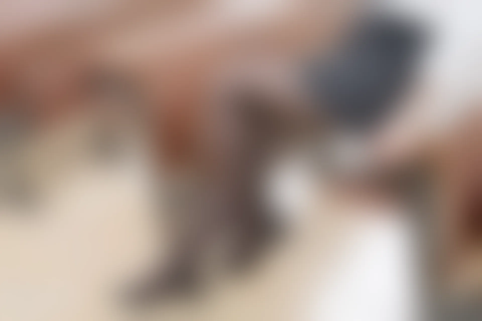 C06.003 黑丝OL [40P-309MB]