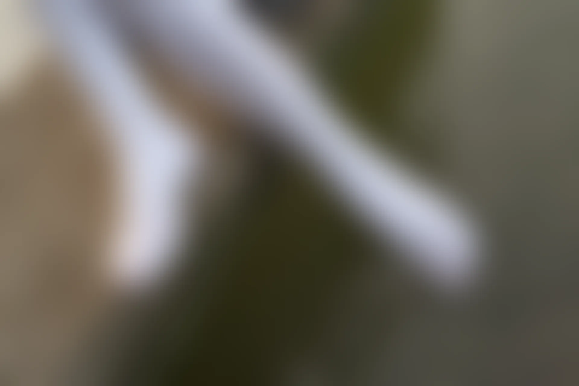 森萝财团 R15-032 [113P-914M]学生装, 森萝财团, 白丝, 美腿
