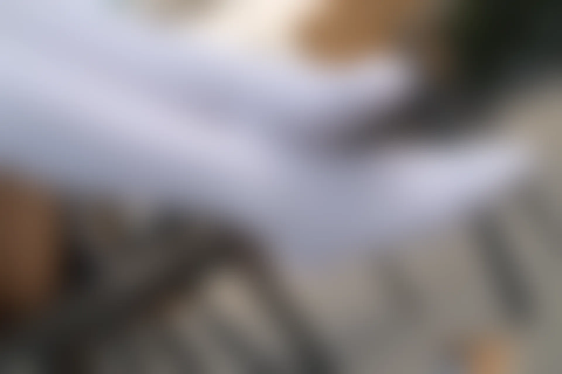 森萝财团 R15-032 [113P-914M]学生装, 森萝财团, 白丝, 美腿