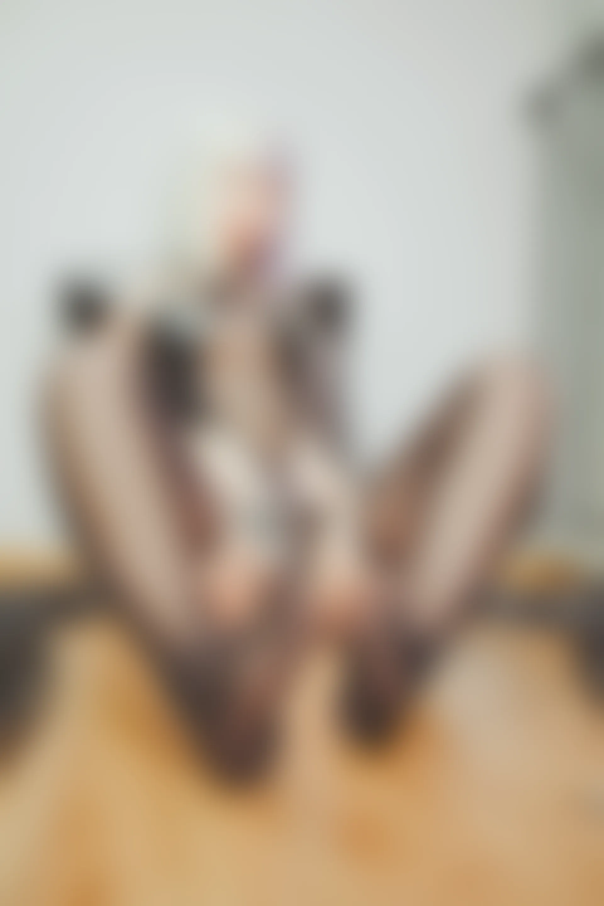 神楽坂真冬 第三季 序号25：《柔らかい永遠》 [150P2V-619MB]内衣, 双马尾, 白丝, 神楽坂真冬, 美腿, 美足, 黑丝