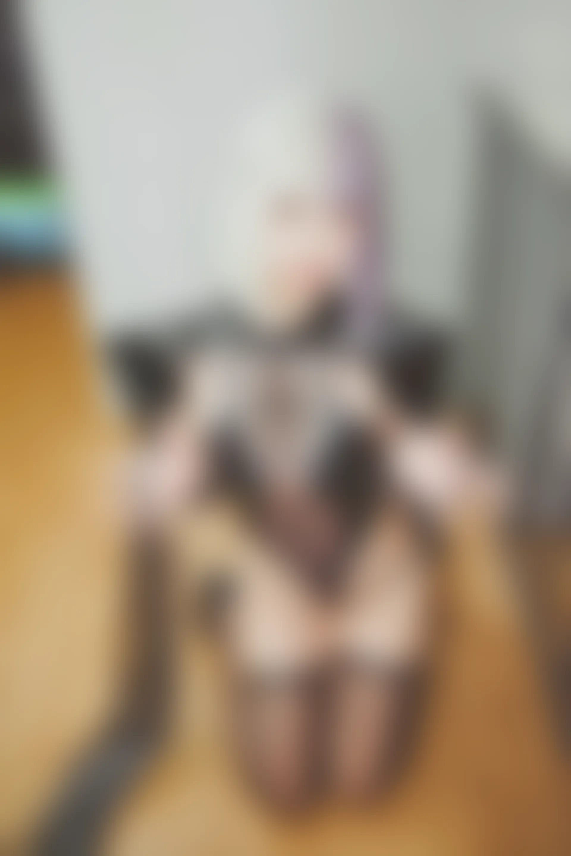 神楽坂真冬 第三季 序号25：《柔らかい永遠》 [150P2V-619MB]内衣, 双马尾, 白丝, 神楽坂真冬, 美腿, 美足, 黑丝