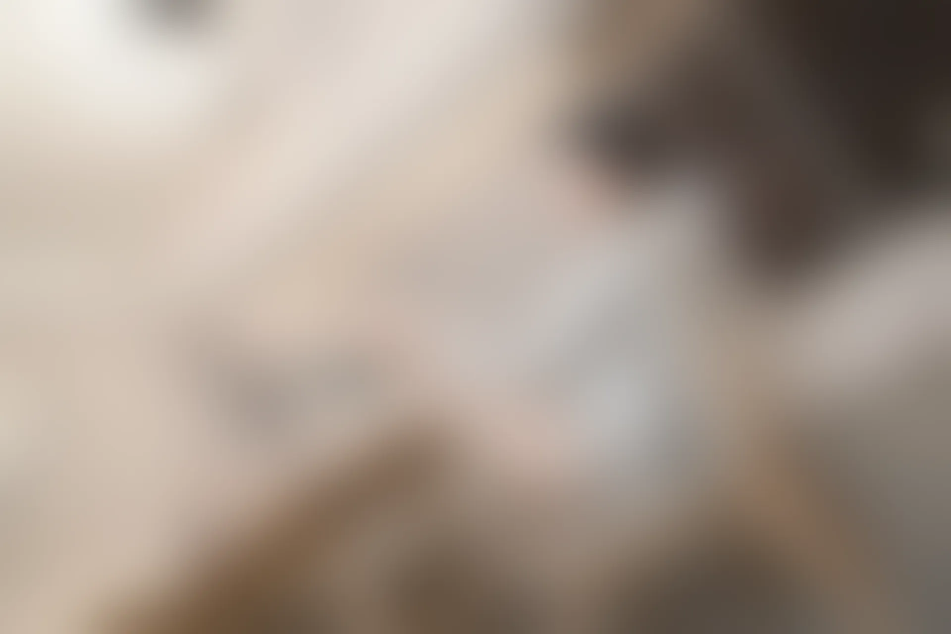 XIUREN秀人网 2023.12.21 NO.7845 浅浅Danny[82+1P／747MB]