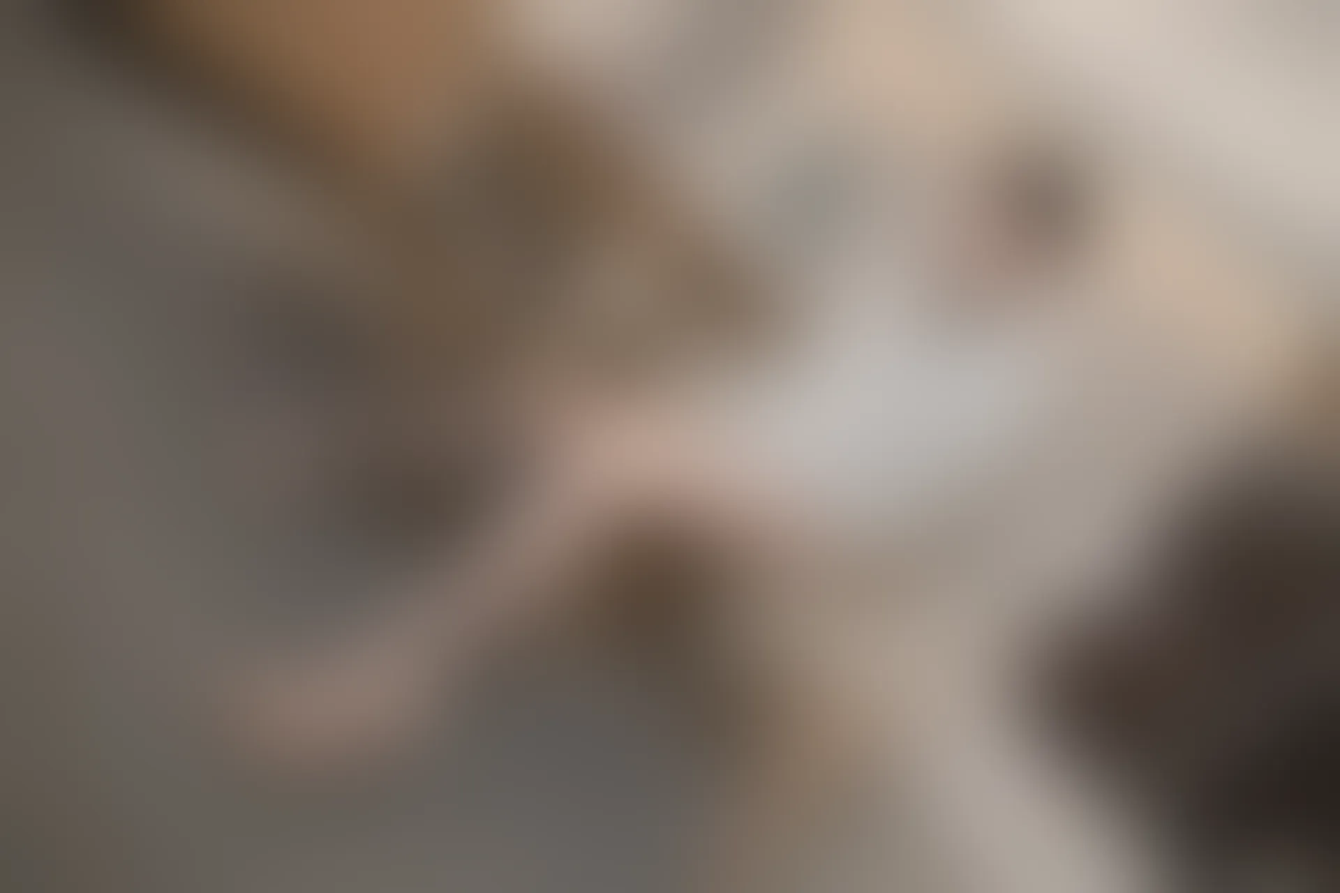 XIUREN秀人网 2023.12.21 NO.7845 浅浅Danny[82+1P／747MB]