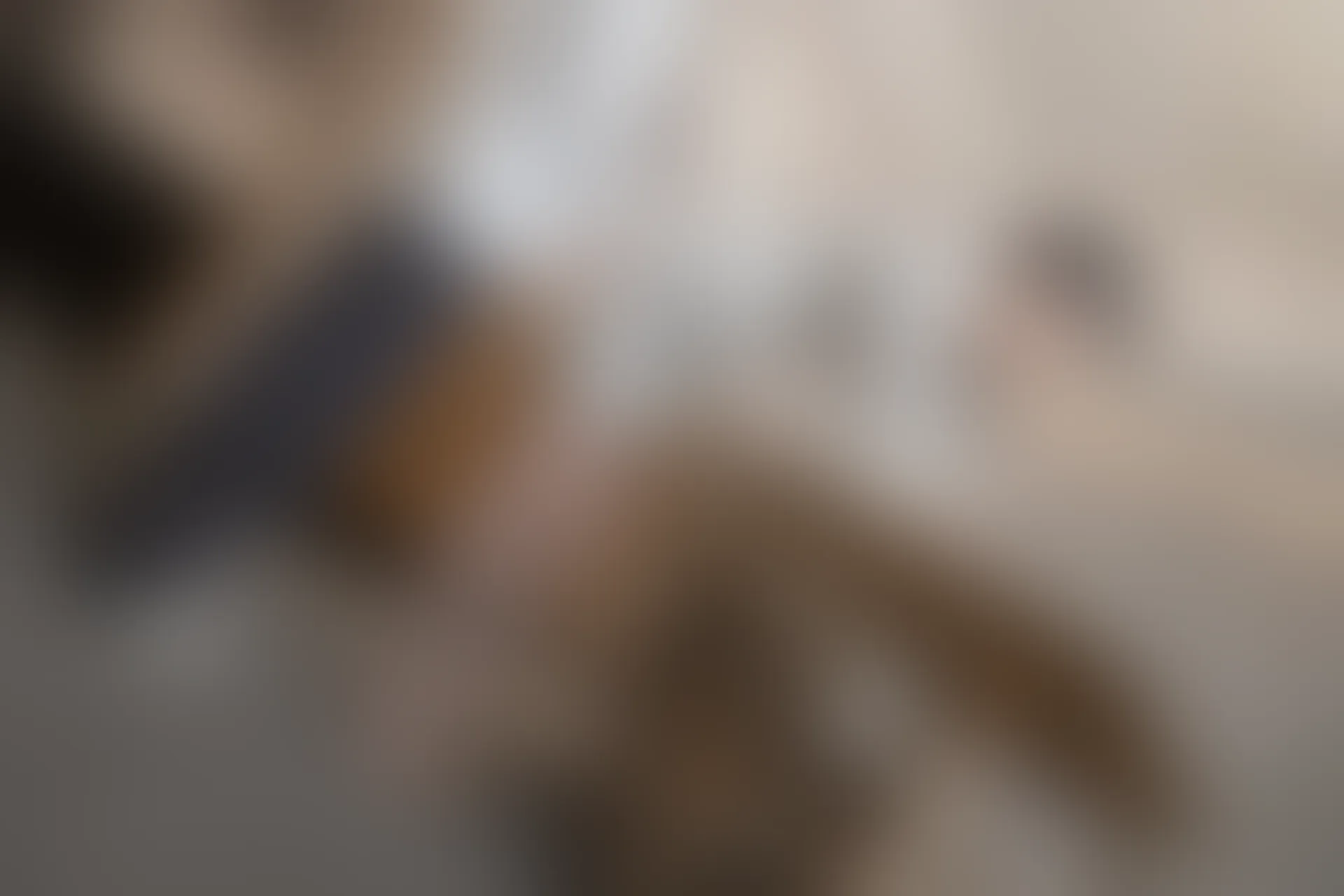 XIUREN秀人网 2023.12.21 NO.7845 浅浅Danny[82+1P／747MB]