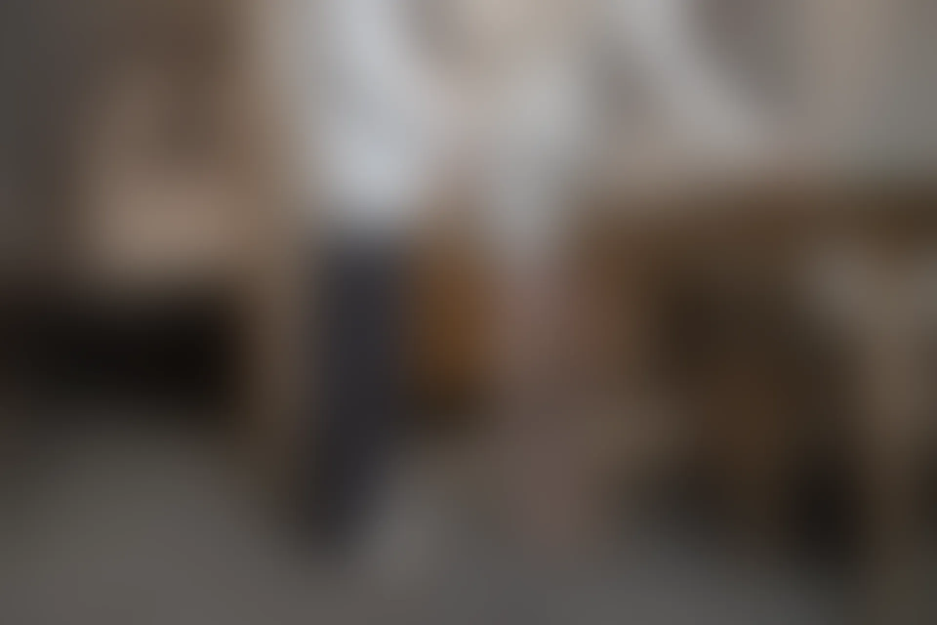 XIUREN秀人网 2023.12.21 NO.7845 浅浅Danny[82+1P／747MB]