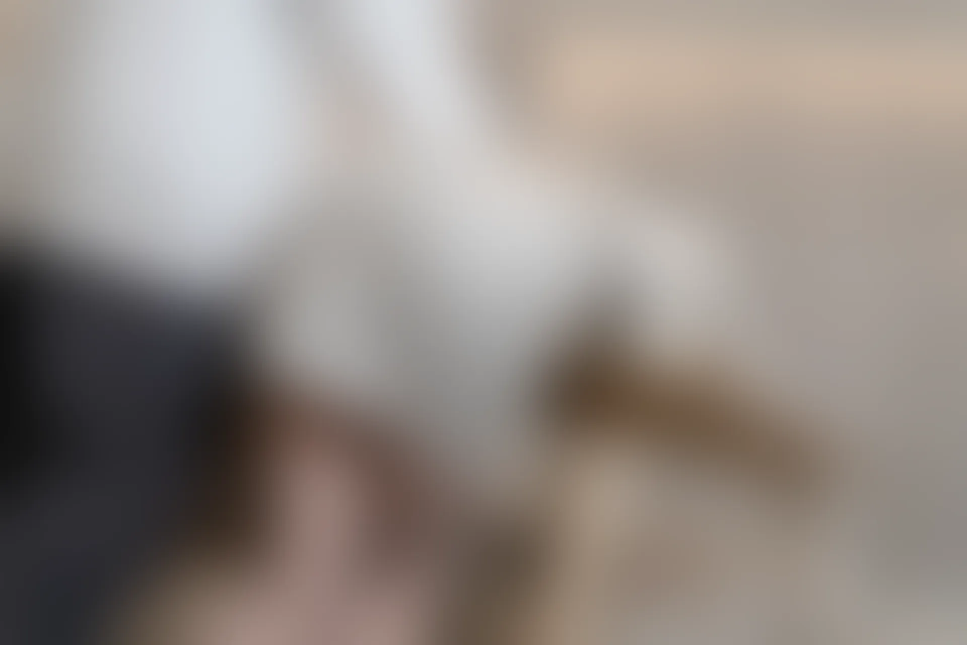 XIUREN秀人网 2023.12.21 NO.7845 浅浅Danny[82+1P／747MB]