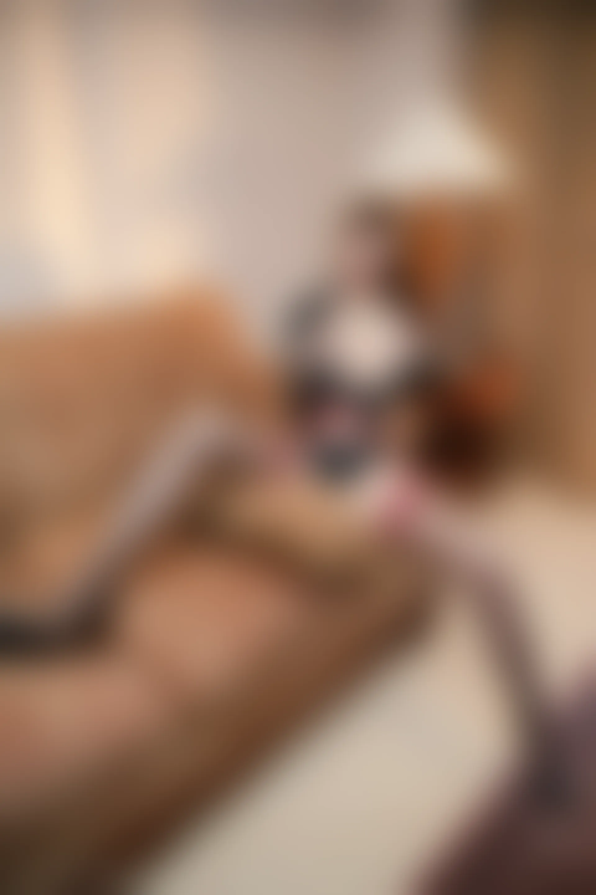 XIUREN秀人网 2024.02.28 NO.8148 Yuki鱼儿[73+1P／828MB]