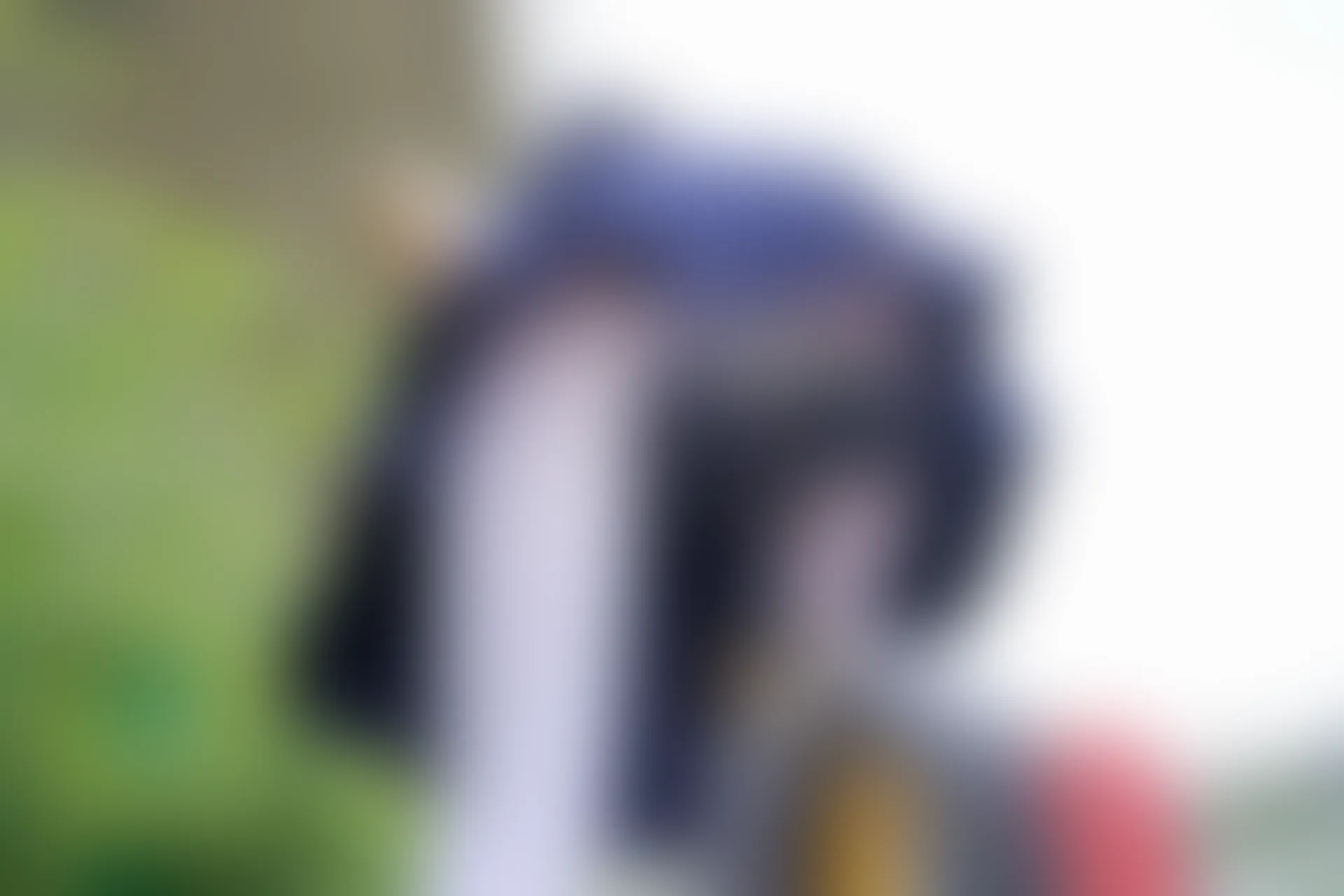 稚乖画册《单车郊游》赤西夜夜 白丝JK制服双马尾 [85P1V-3.87GB]JK制服, 双马尾, 白丝, 稚乖画册, 美腿, 美足, 赤西夜夜