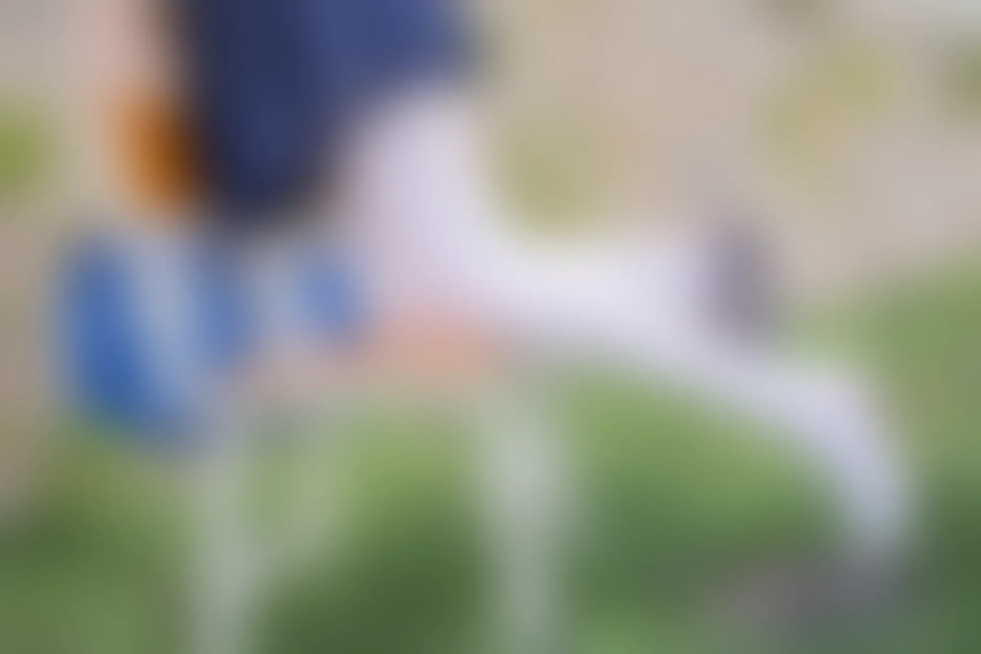 稚乖画册《单车郊游》赤西夜夜 白丝JK制服双马尾 [85P1V-3.87GB]JK制服, 双马尾, 白丝, 稚乖画册, 美腿, 美足, 赤西夜夜