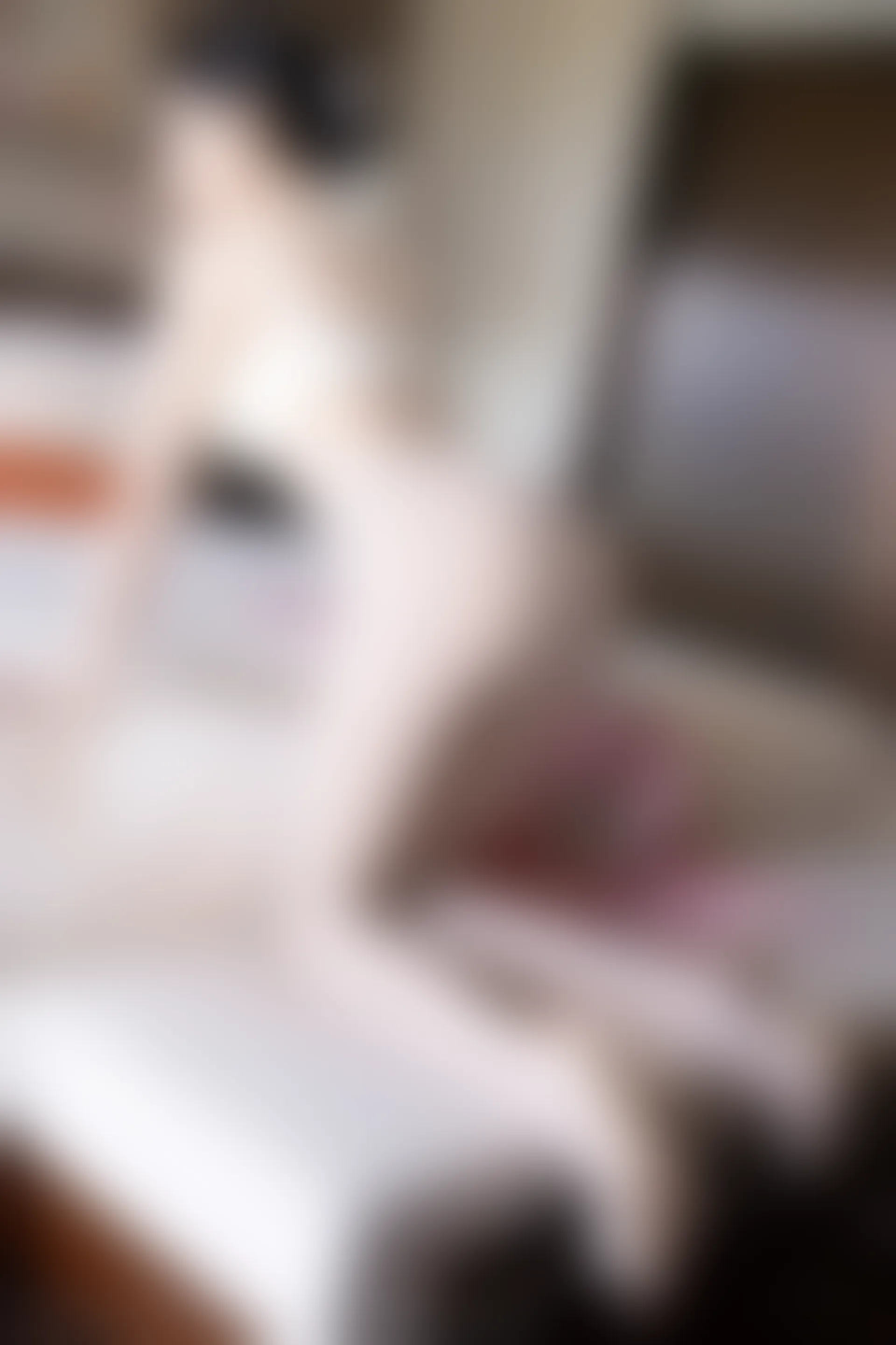 XIUREN秀人网 2022.05.13 NO.5007 王馨瑶yanni [85+1P864M]