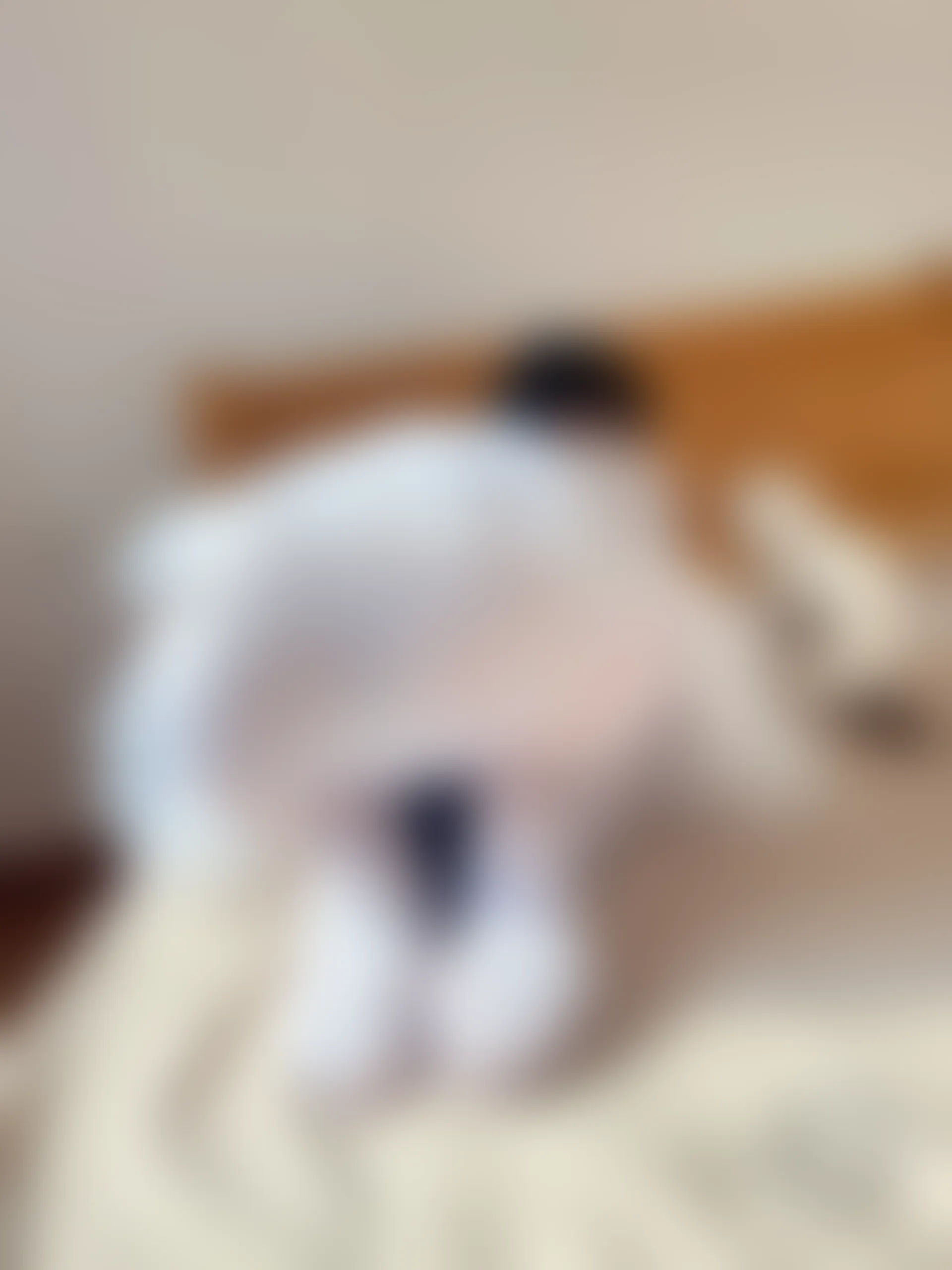 稚乖画册 赤西夜夜《嬉戏》双马尾80D白丝 [74P1V-368MB]双马尾, 白丝, 稚乖画册, 美腿, 美足, 赤西夜夜