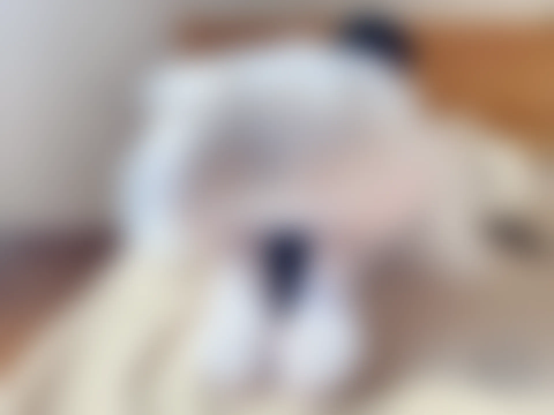 稚乖画册 赤西夜夜《嬉戏》双马尾80D白丝 [74P1V-368MB]双马尾, 白丝, 稚乖画册, 美腿, 美足, 赤西夜夜