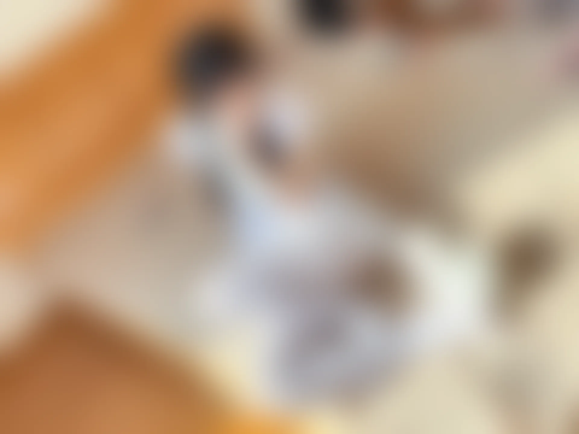 稚乖画册 赤西夜夜《嬉戏》双马尾80D白丝 [74P1V-368MB]双马尾, 白丝, 稚乖画册, 美腿, 美足, 赤西夜夜