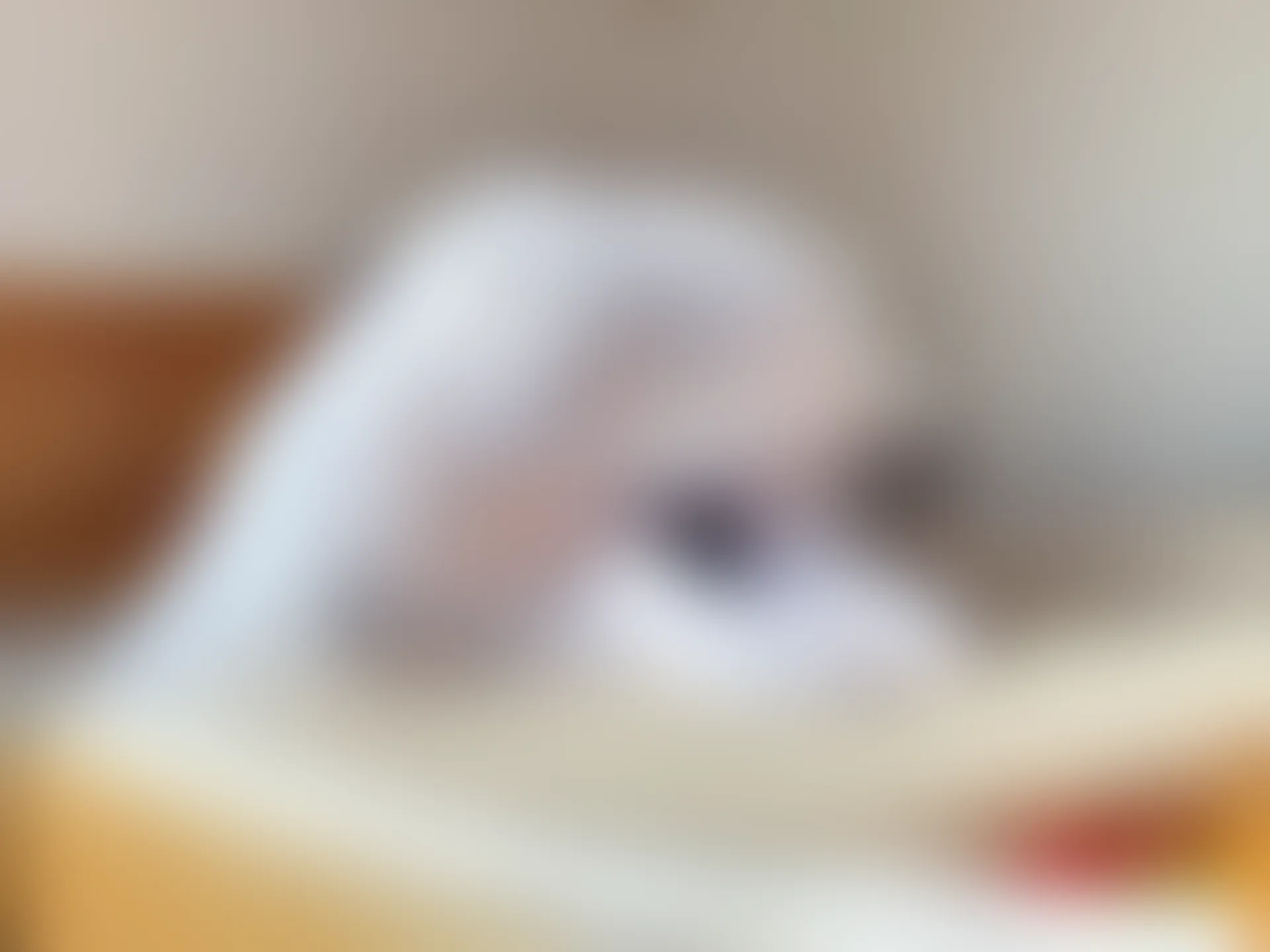 稚乖画册 赤西夜夜《嬉戏》双马尾80D白丝 [74P1V-368MB]双马尾, 白丝, 稚乖画册, 美腿, 美足, 赤西夜夜