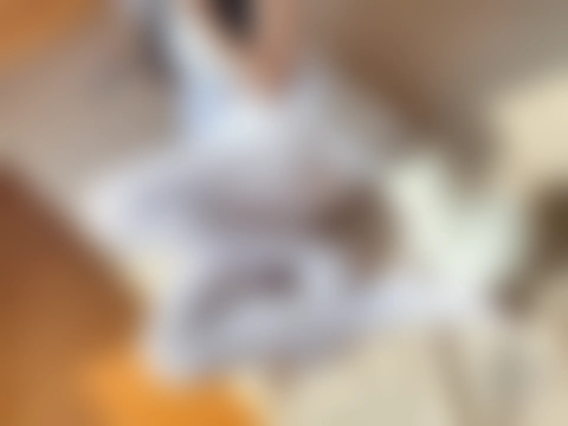 稚乖画册 赤西夜夜《嬉戏》双马尾80D白丝 [74P1V-368MB]双马尾, 白丝, 稚乖画册, 美腿, 美足, 赤西夜夜