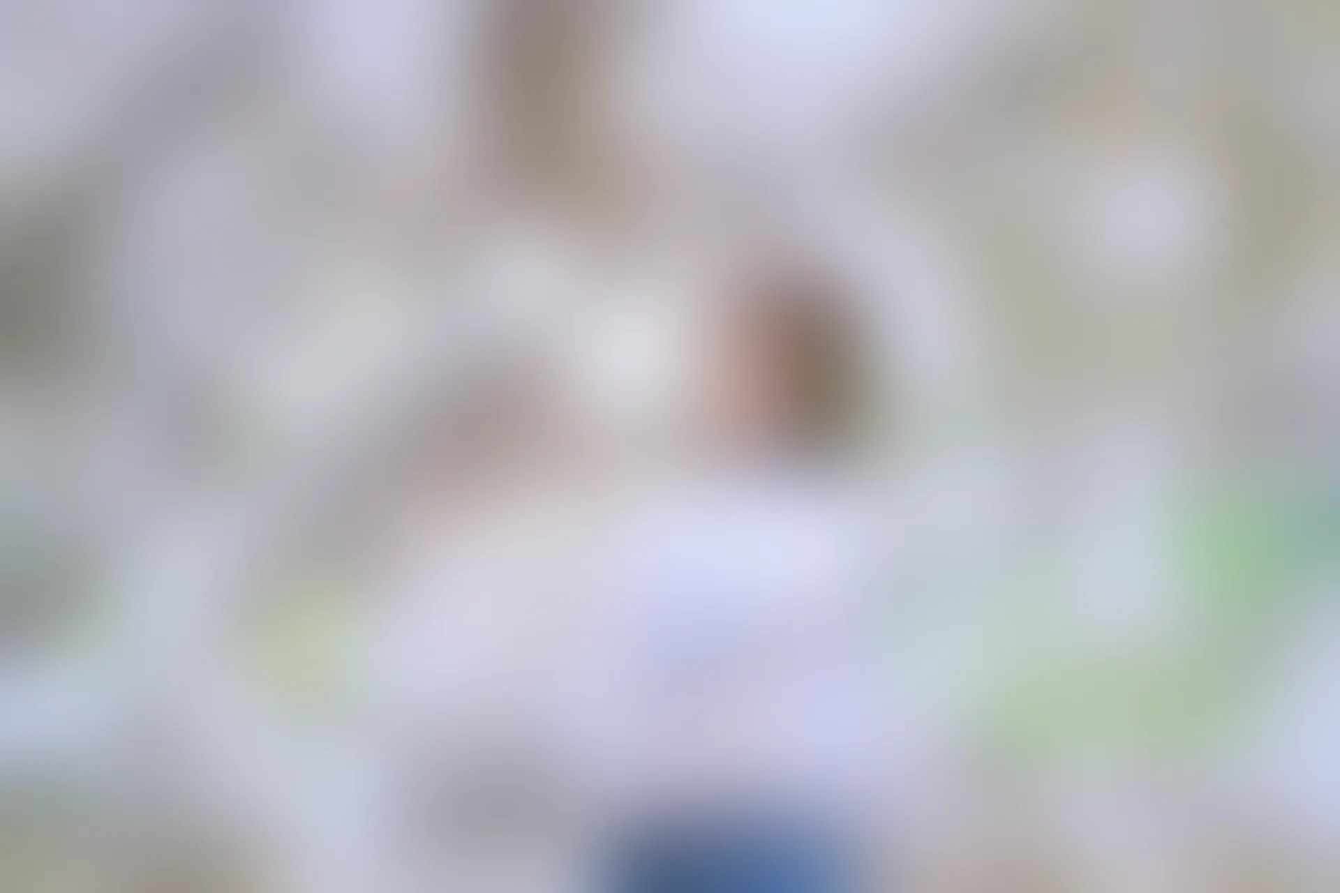 VOL.005 樱花JK [40P-352MB]