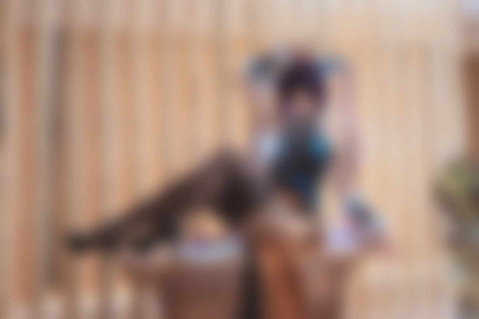 神楽坂真冬 第三季 序号6：《極楽の氷》FGO杨贵妃&企鹅莉莉丝 [150P3V-688MB]内衣, 旗袍, 神楽坂真冬, 美腿, 美足, 黑丝