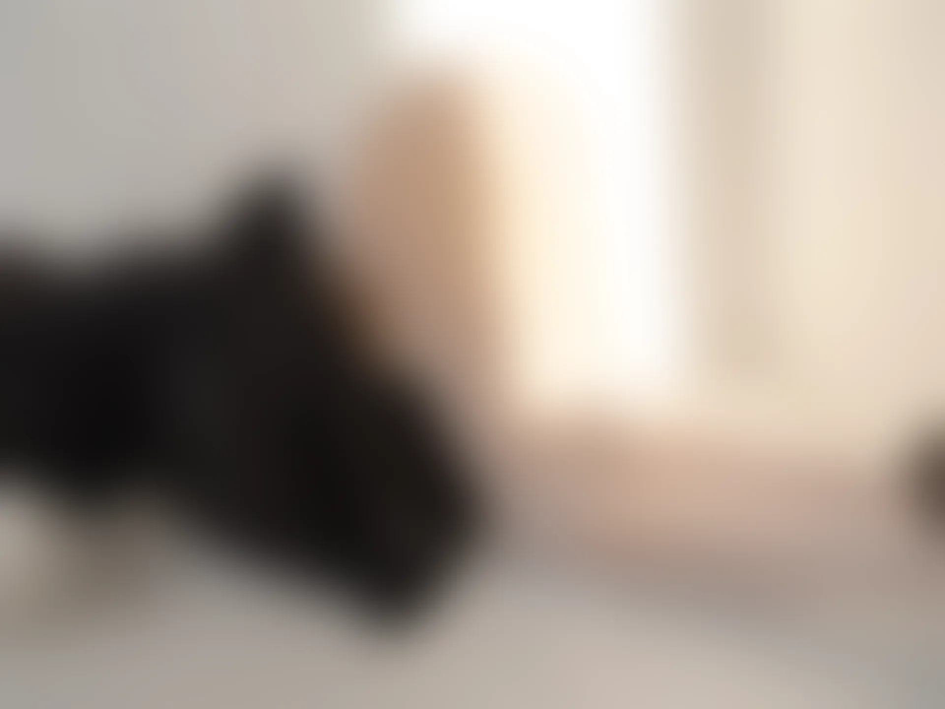 紧急企划 见希w 职员 OL制服白丝 [91P-520MB]OL制服, 森萝财团, 白丝, 美腿, 美足, 见希w