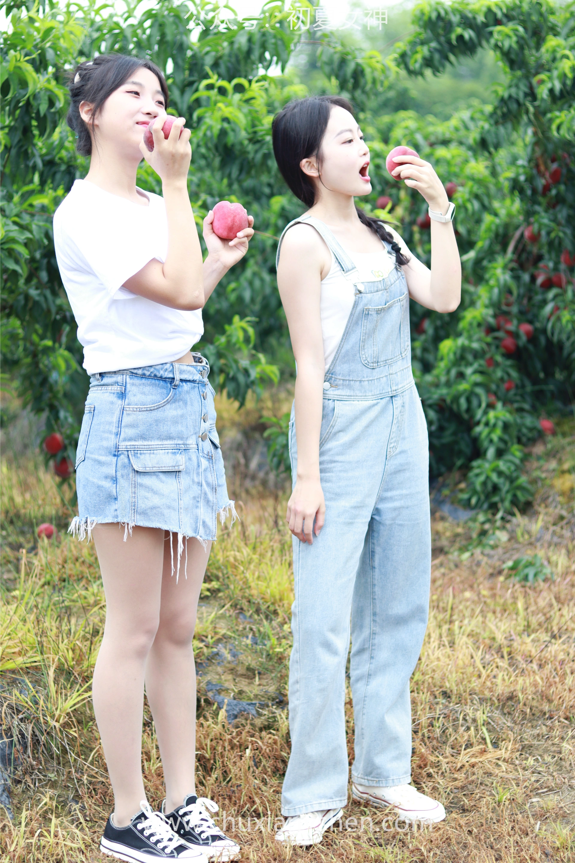 初夏女神 NO.055 双双&点点 桃园姐妹[172P+1V／6.33GB]