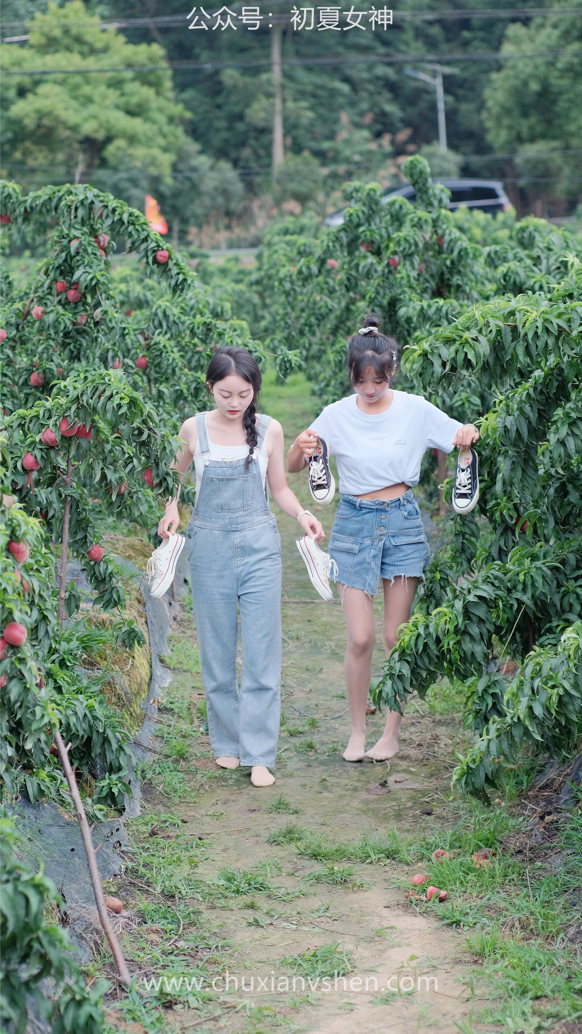 初夏女神 NO.055 双双&点点 桃园姐妹[172P+1V／6.33GB]