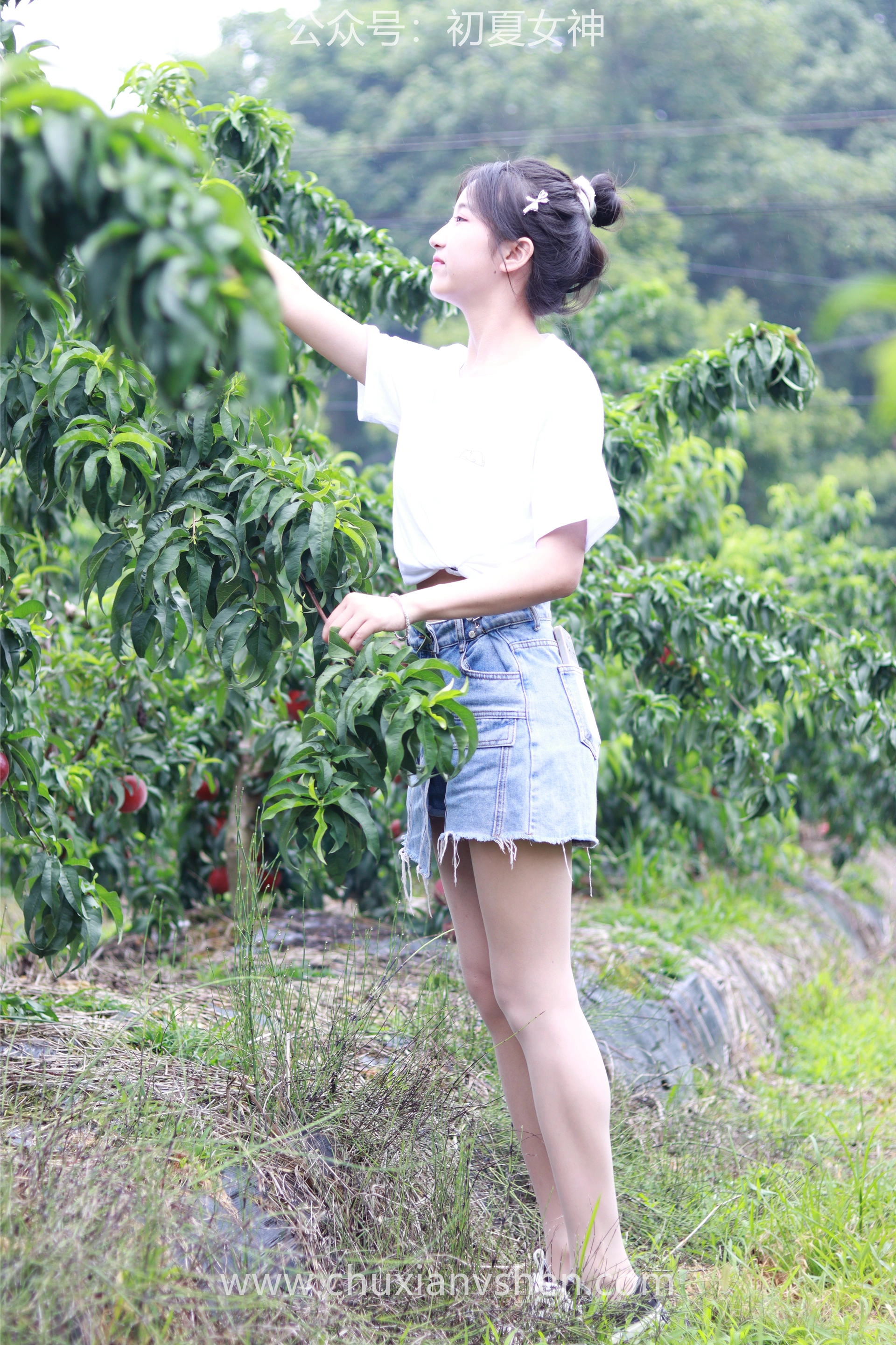 初夏女神 NO.055 双双&点点 桃园姐妹[172P+1V／6.33GB]