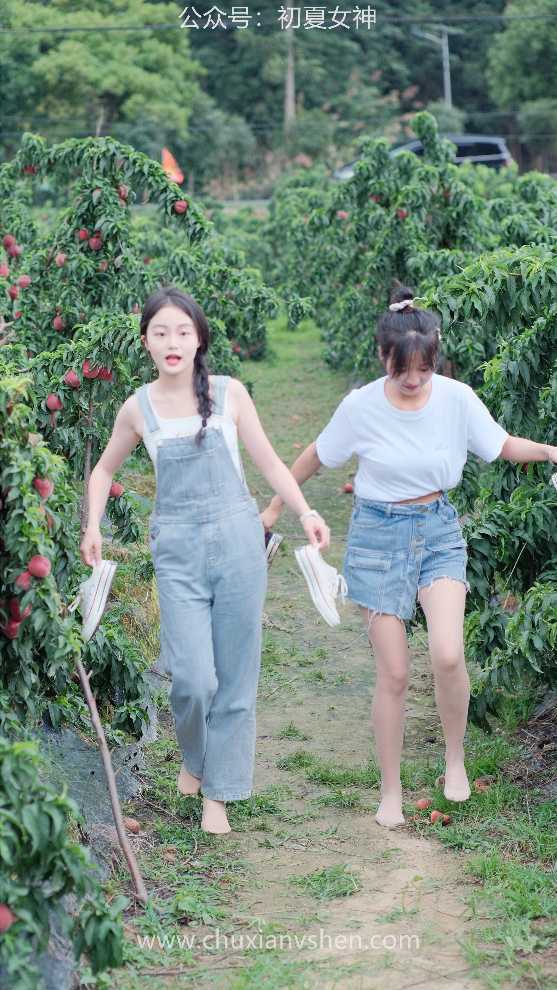 初夏女神 NO.055 双双&点点 桃园姐妹[172P+1V／6.33GB]