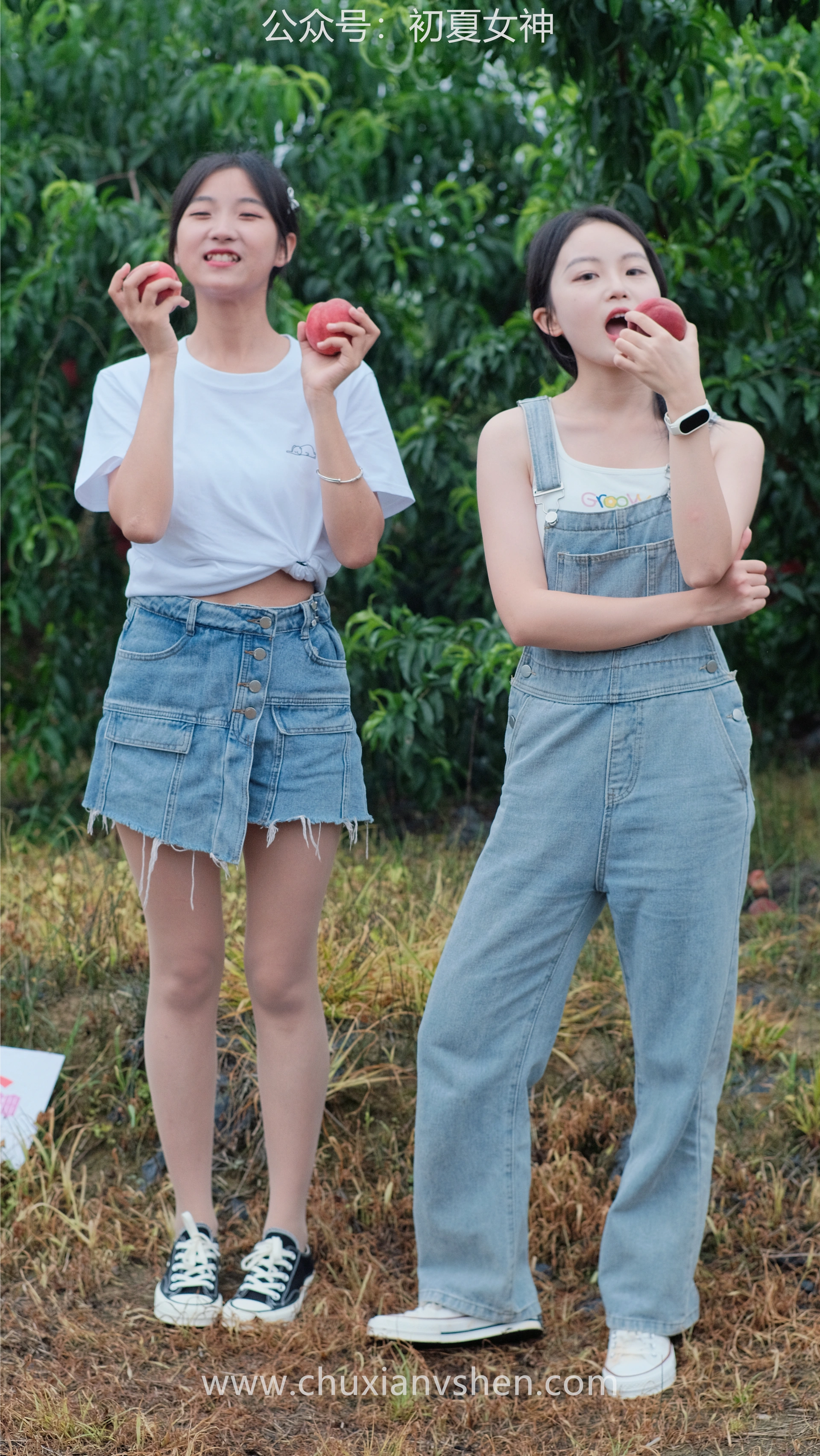 初夏女神 NO.055 双双&点点 桃园姐妹[172P+1V／6.33GB]