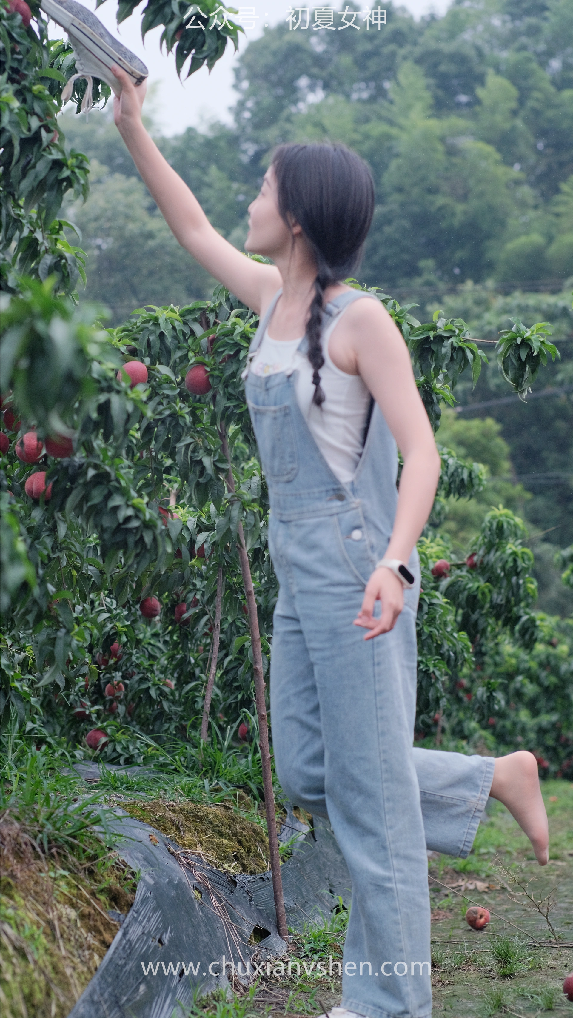 初夏女神 NO.055 双双&点点 桃园姐妹[172P+1V／6.33GB]