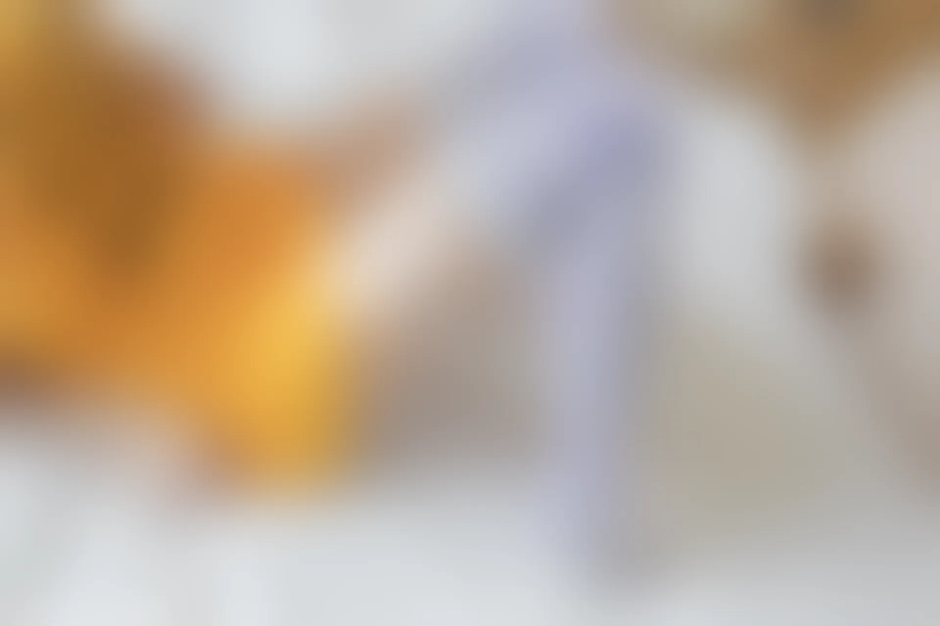 C18.005 无敌废材 [40P-23MB]