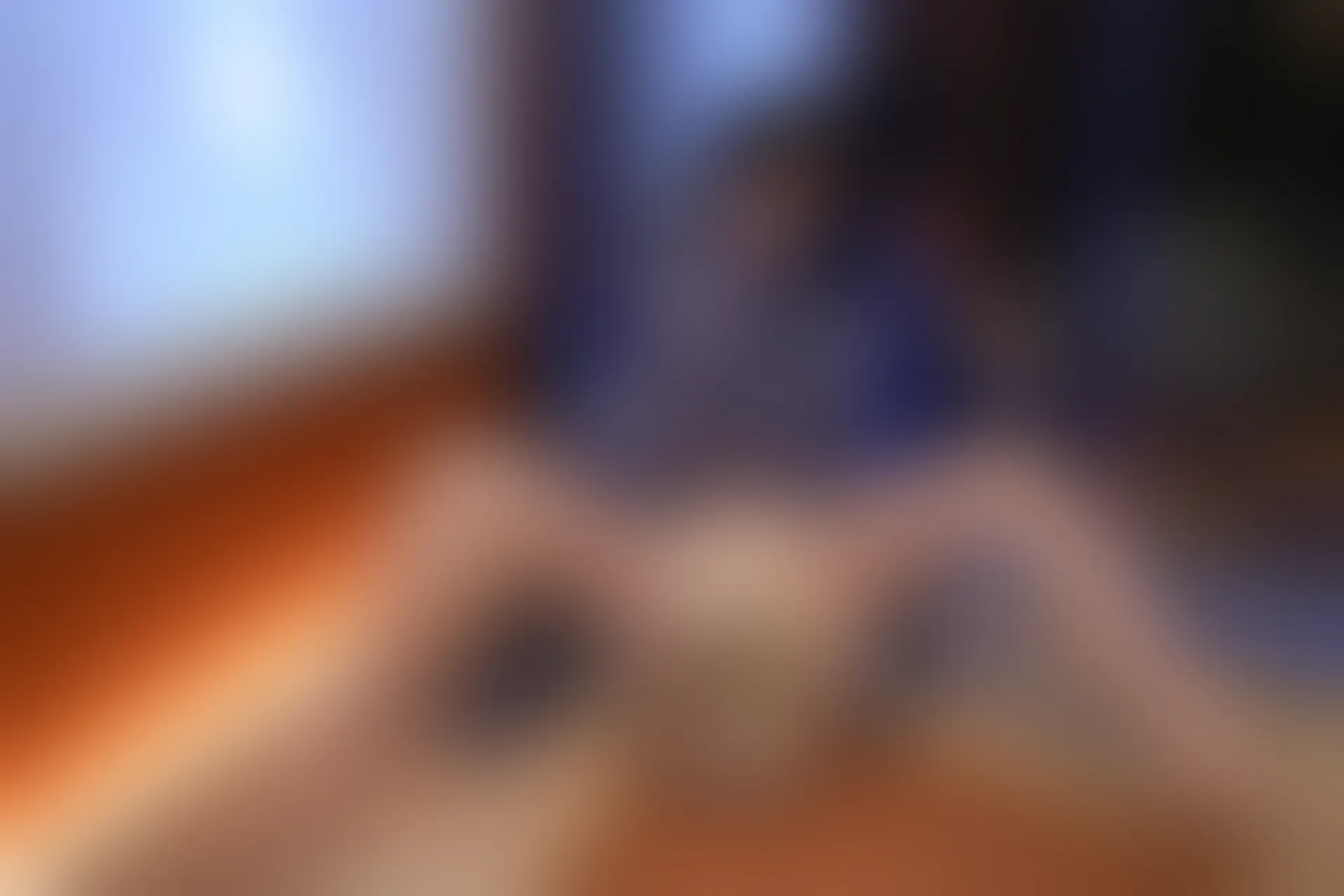 XIUREN秀人网 2024.01.17 NO.7975 Carol周妍希[70+1P／772MB]