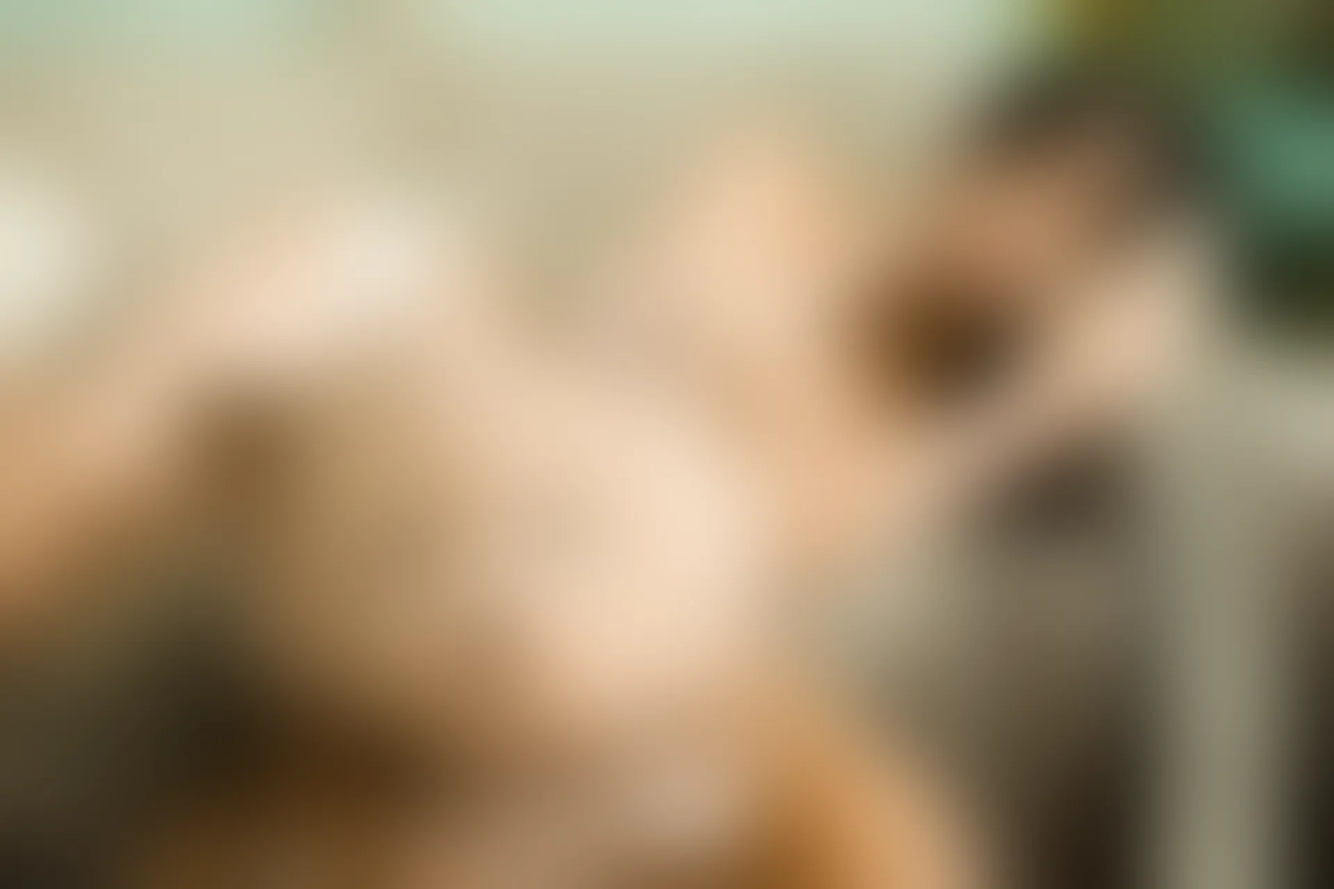 XiuRen秀人网 2014.09.26 No.217 靜顏寧 [50+1P205M]