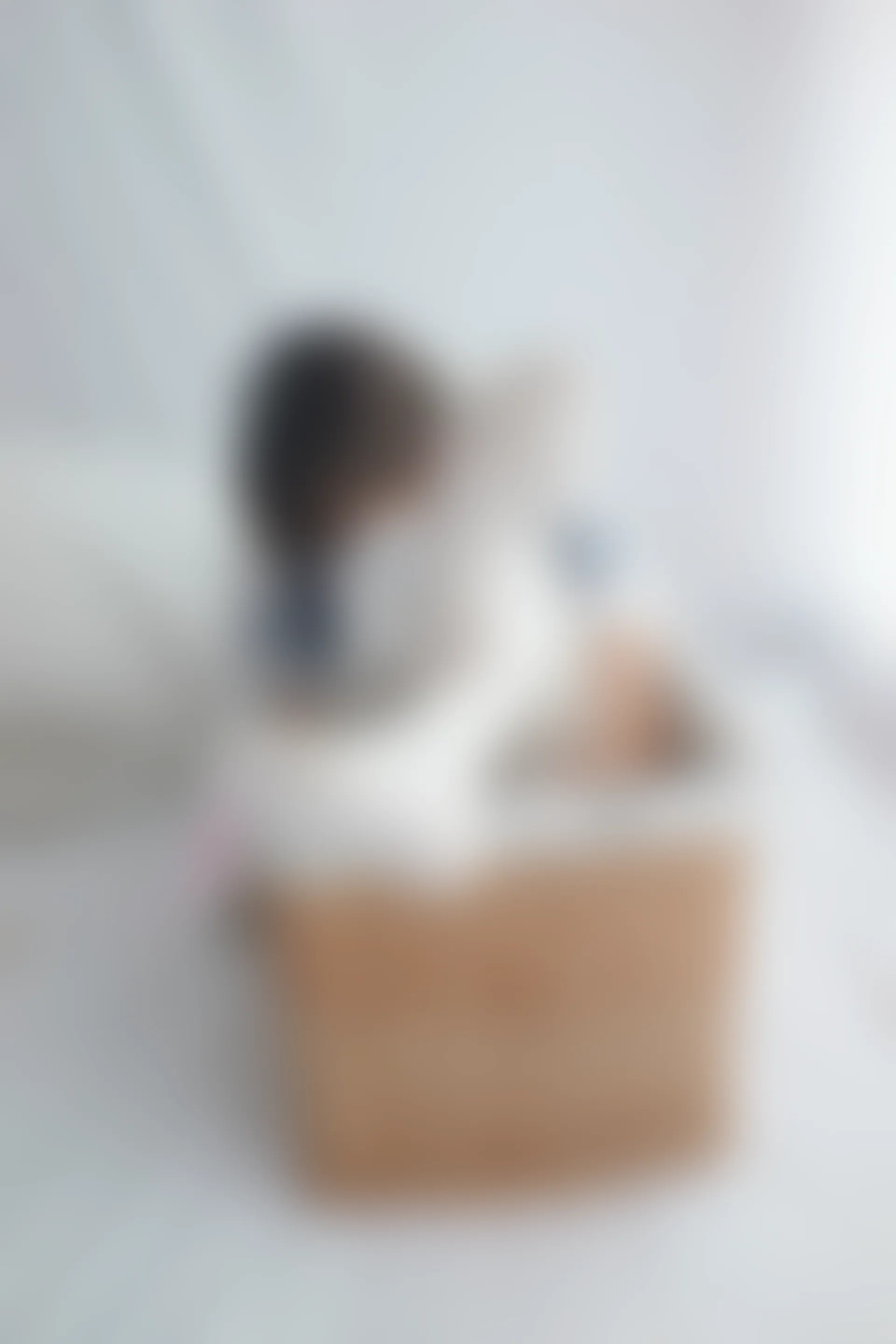 喵写真 VOL-005 [52P-360M]可爱, 喵写真, 白丝, 美腿