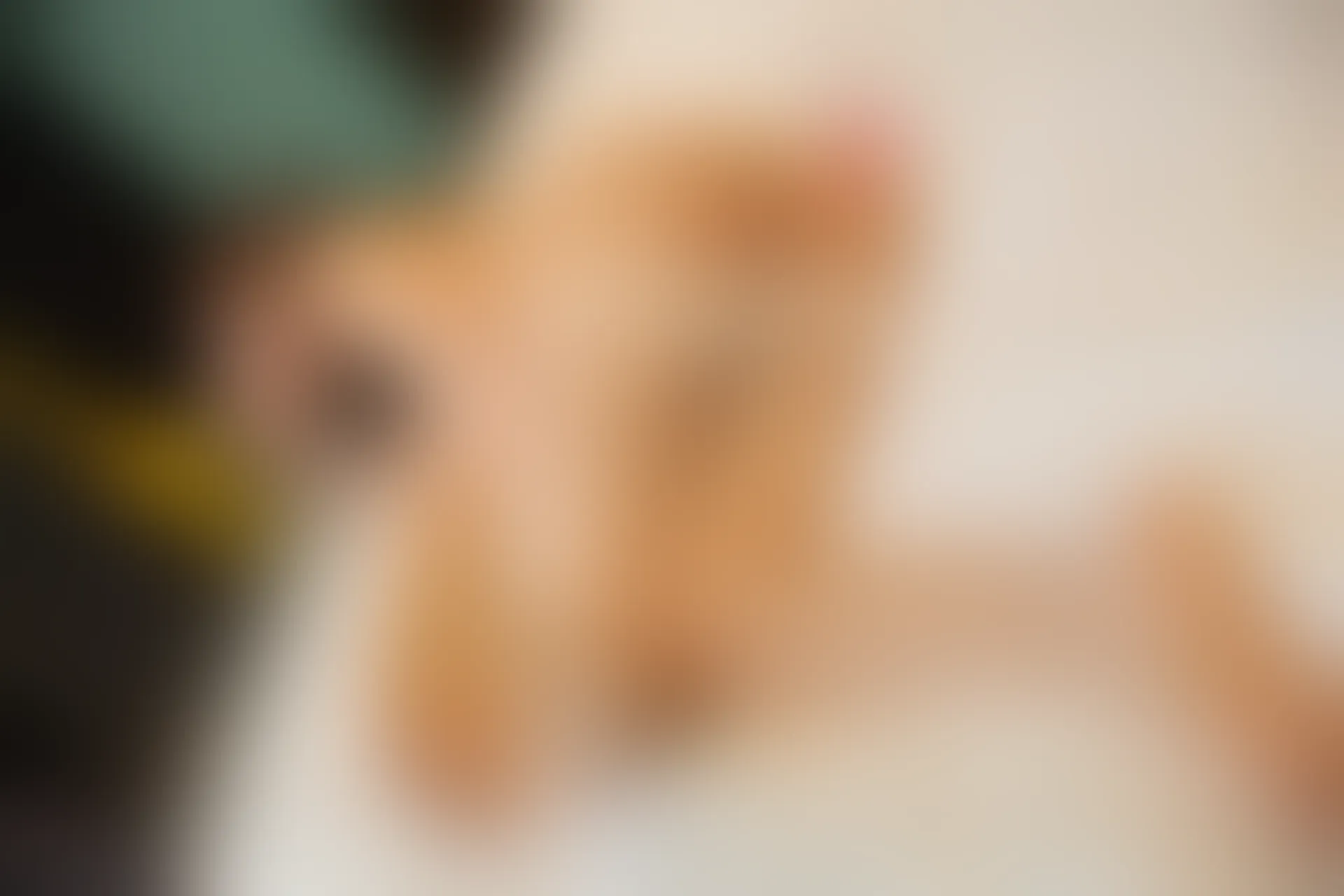 XIUREN秀人网 2024.01.04 NO.7911 绮里嘉ula[80+1P／744MB]