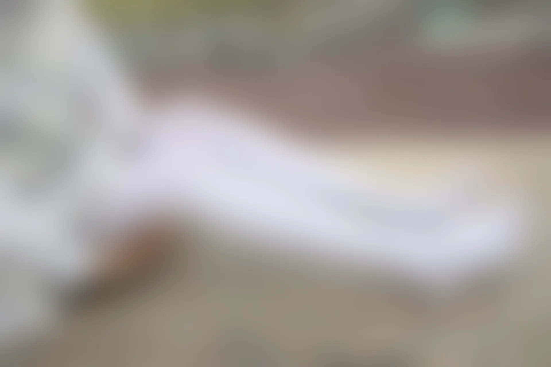 紧急企划 G-003 [70P-859M] 小奶糕MilkyJK, JK制服, 制服, 可爱, 学生装, 小奶糕Milky, 白丝, 紧急企划, 美腿, 美足