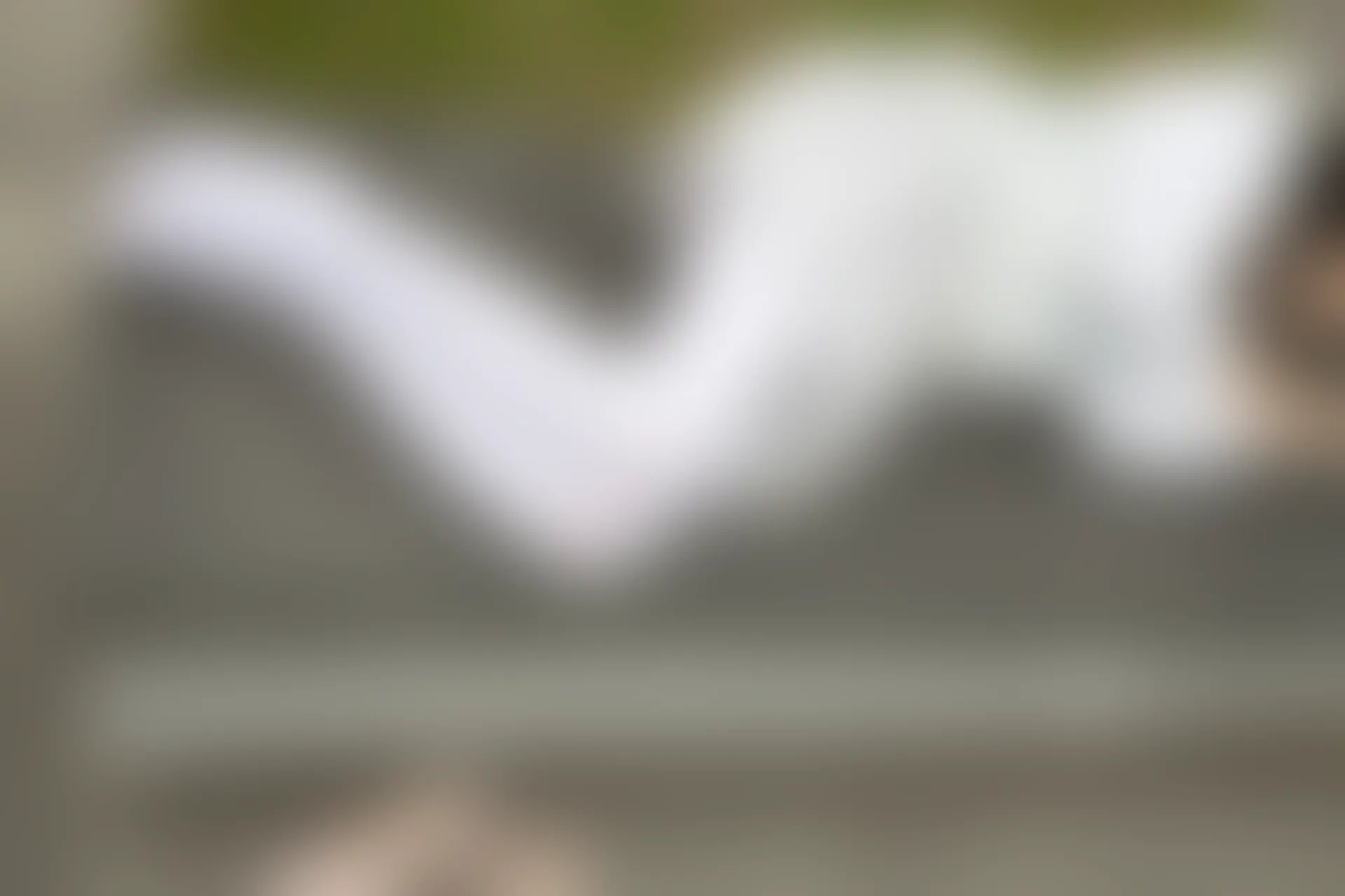 紧急企划 G-003 [70P-859M] 小奶糕MilkyJK, JK制服, 制服, 可爱, 学生装, 小奶糕Milky, 白丝, 紧急企划, 美腿, 美足