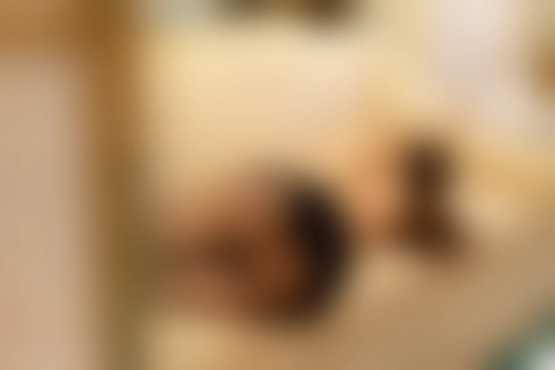 [XiuRen秀人网] 2019.07.05 NO.1534 奶瓶土肥圆矮挫丑黑穷[65+1P／305M]