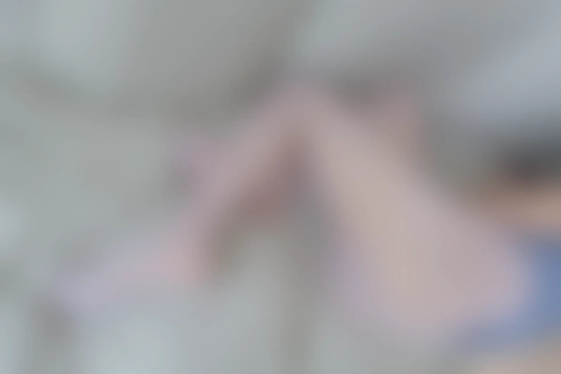 森萝财团 内部VIP系列 雏菊-07 双马尾白丝旗袍 [127P1V-2.8GB]