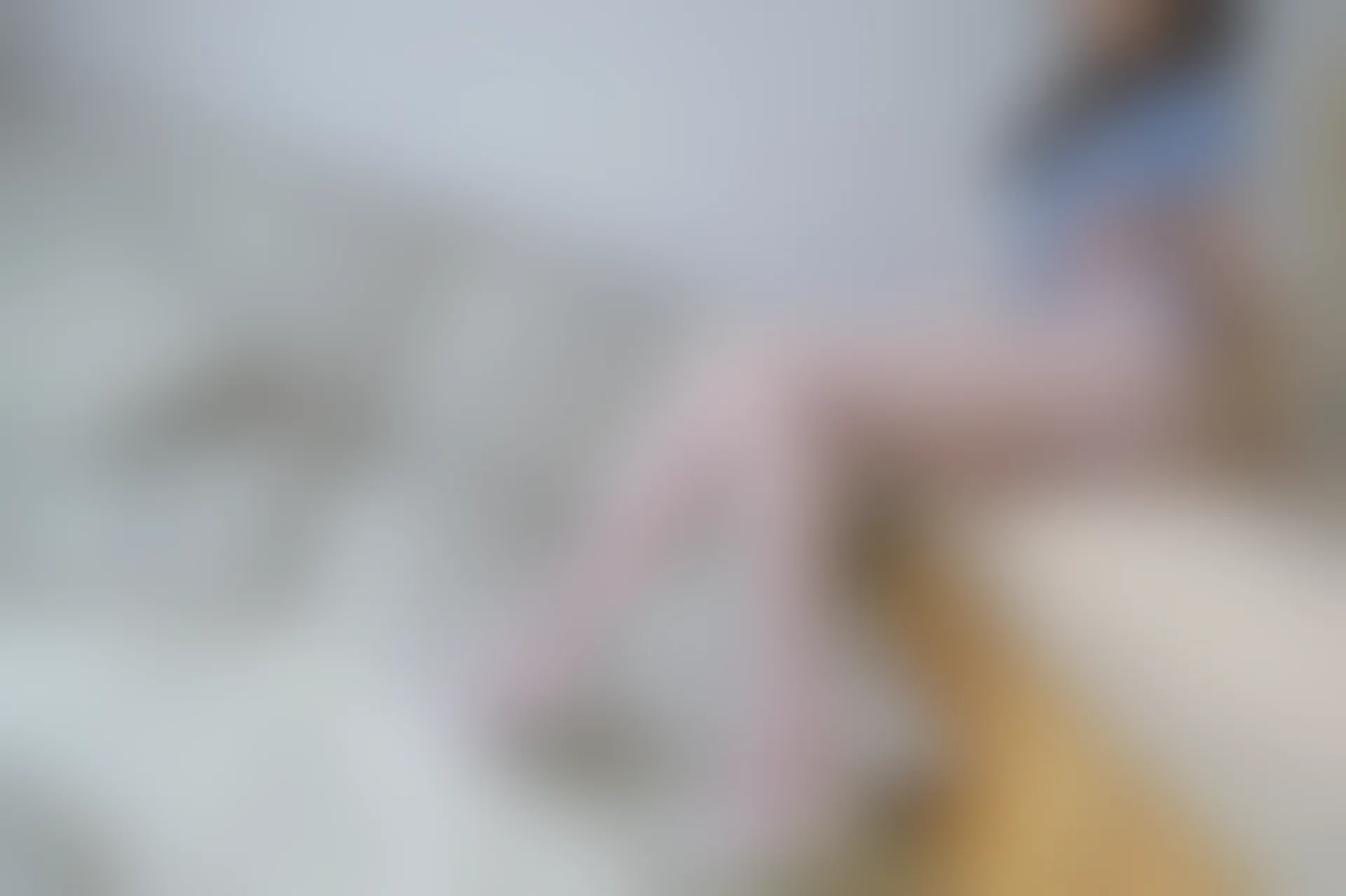 森萝财团 内部VIP系列 雏菊-07 双马尾白丝旗袍 [127P1V-2.8GB]